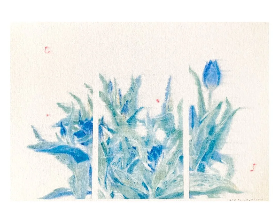 I cannot wait to see buds breaking through the soil and tulips in bloom&hellip; almost there almost&hellip;🌷

Fragment #09, 2026
9.25 &times; 6.3 in
Pastel pencil on paper
Frame: 8.5 &times; 11 in, linden wood
Thank you so much for the beautiful fra