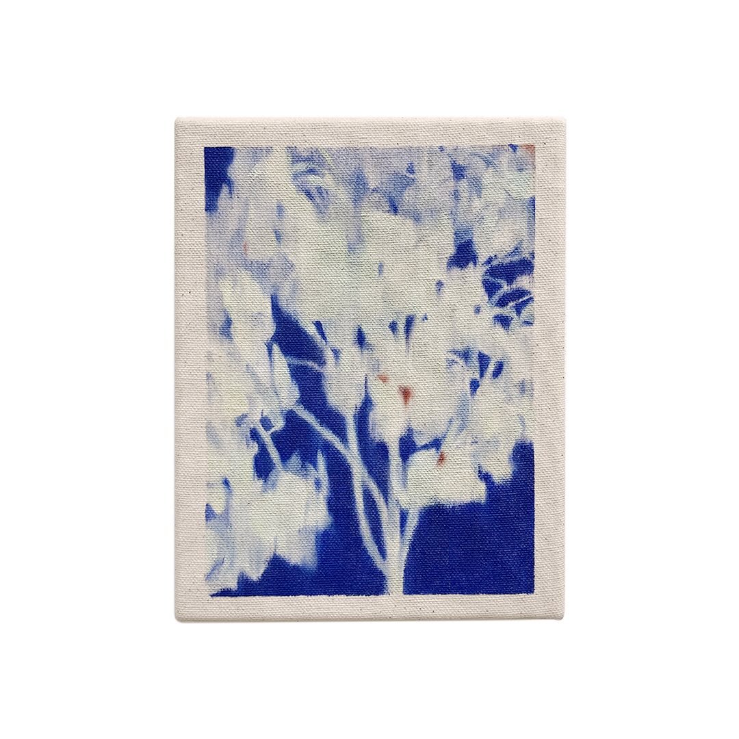 Hydrangea, 2026
6x8" oil on canvas 

on view at @foireplural with @wishboneartgallery , April 10-12, Booth 138