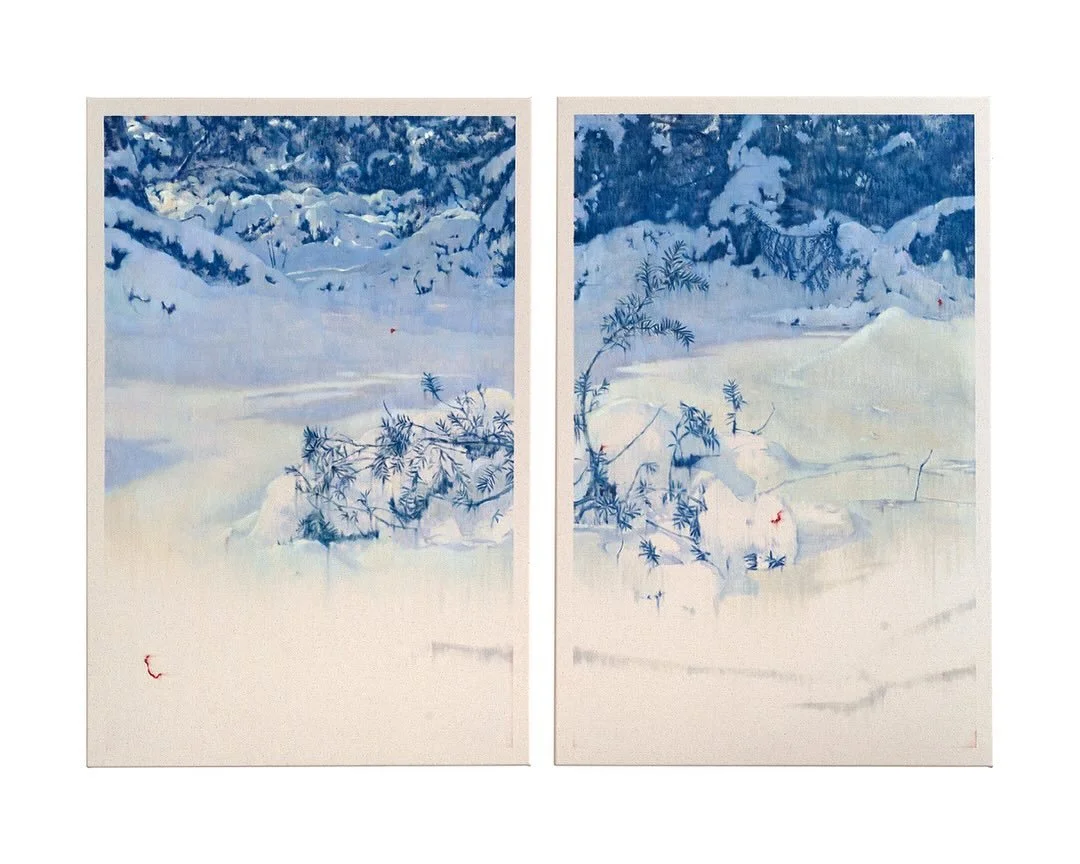 Thank you so much to everyone who stopped by @wishboneartgallery !! I&rsquo;m so grateful that so many people discovered my work this year at @foireplural .
And I&rsquo;m sorry if you wanted to see this diptych painting and didn&rsquo;t get the chanc