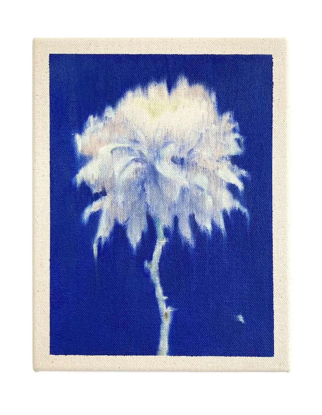 Chrysanthemum, 2026
Oil on canvas 
9x7"

Shown @futurefairs with @wishboneartgallery 

Painting discarded flowers as reflections of impermanence.