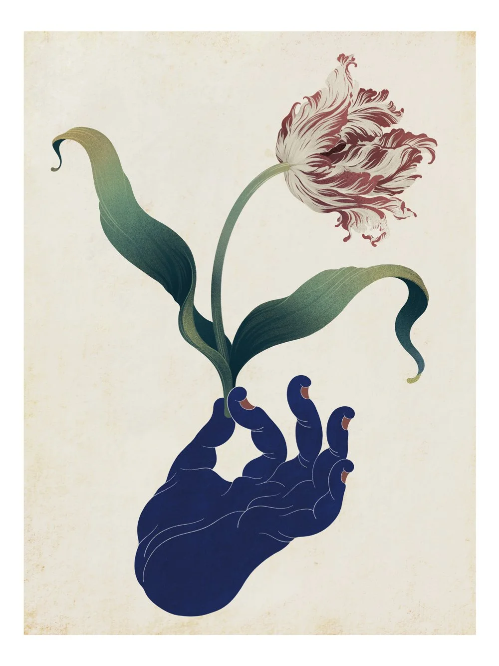 tulip03.jpg