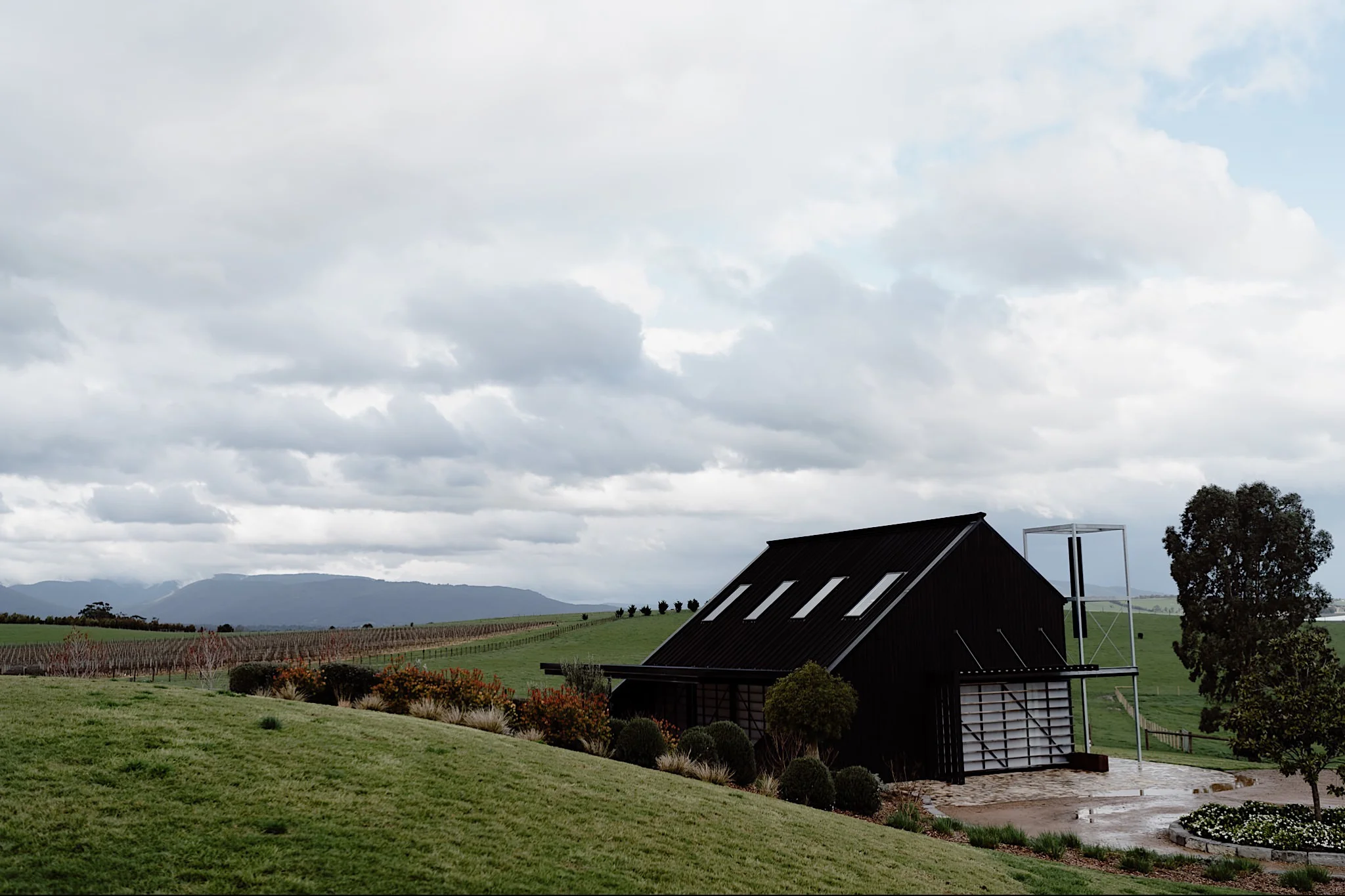 Zonzo Estate Winery Yarra Valley Wedding6.jpg