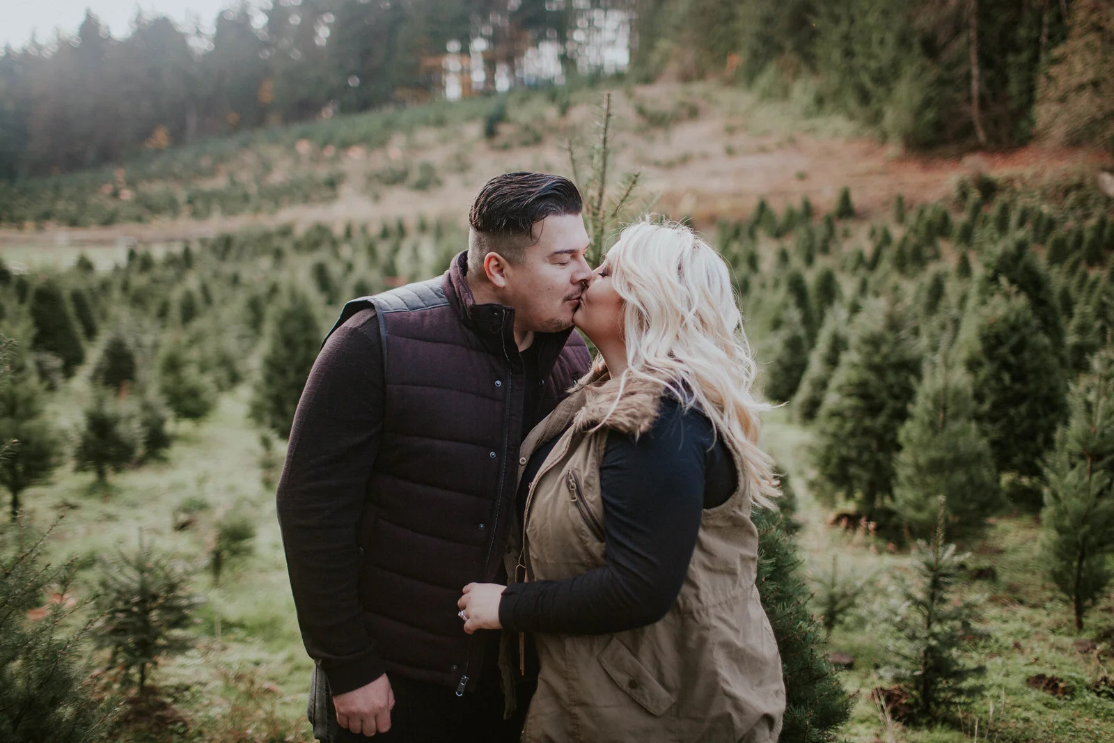 Tree Farm with the Bowmans 2016-19.jpg