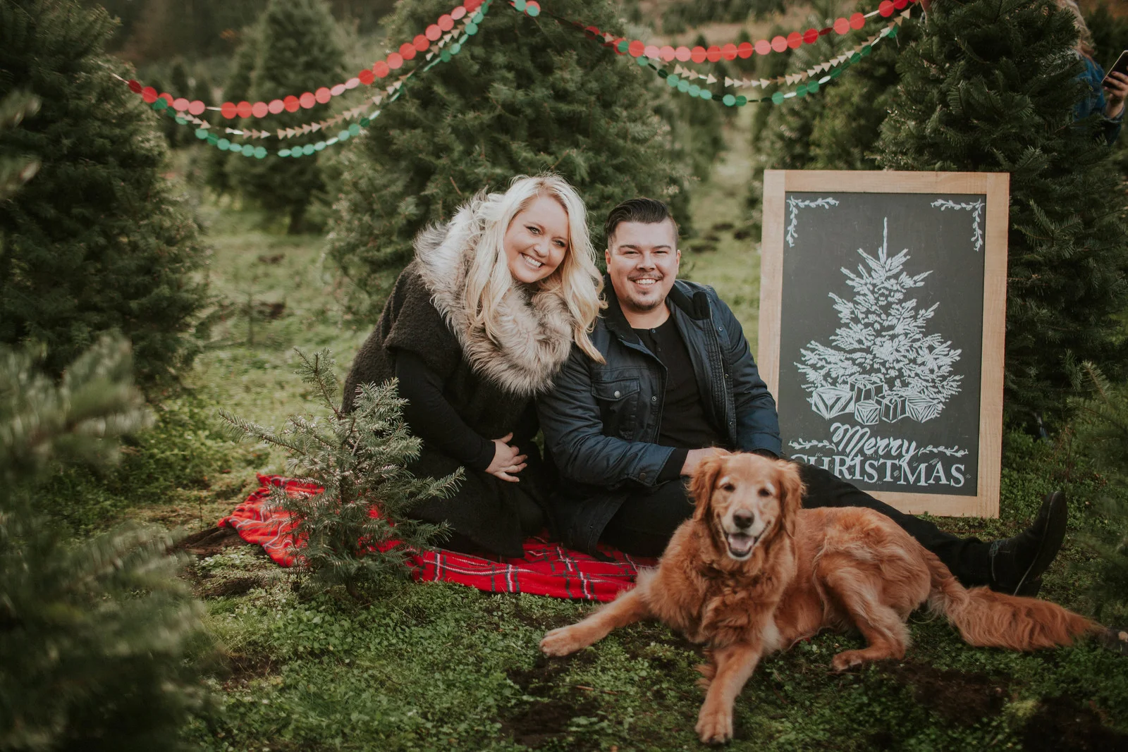 Tree Farm with the Bowmans 2016-39.jpg
