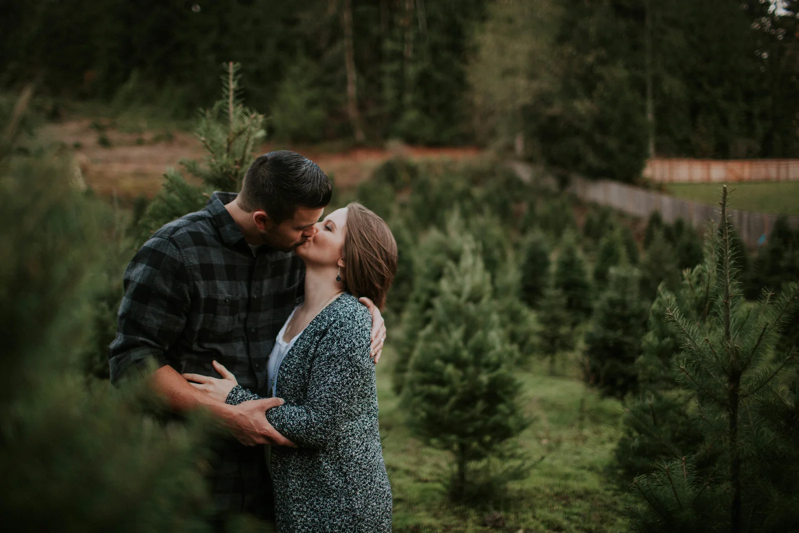 Tree Farm with the O'neals 2016-42.jpg