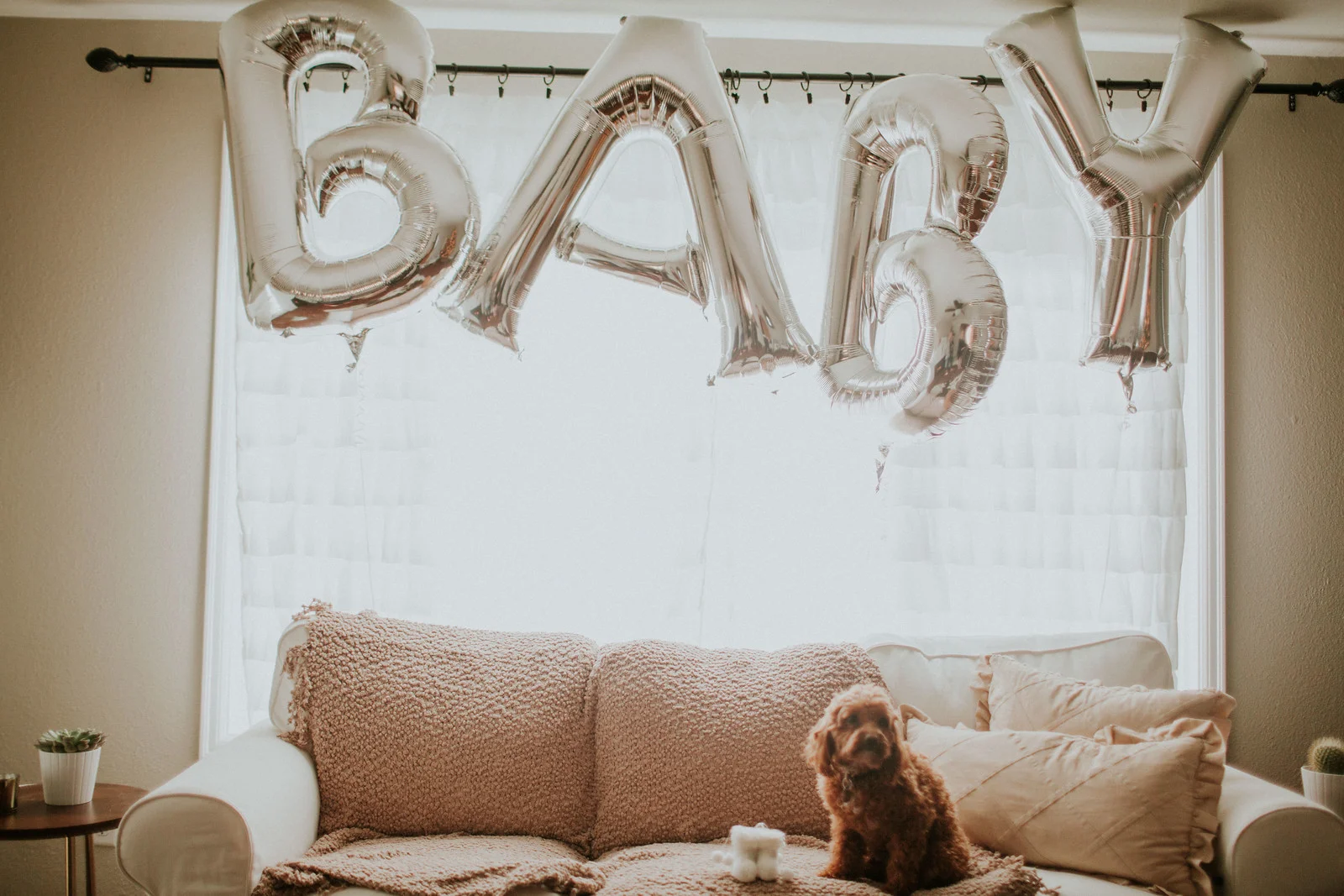 #BabyCollins Announcement Photos-89.jpg