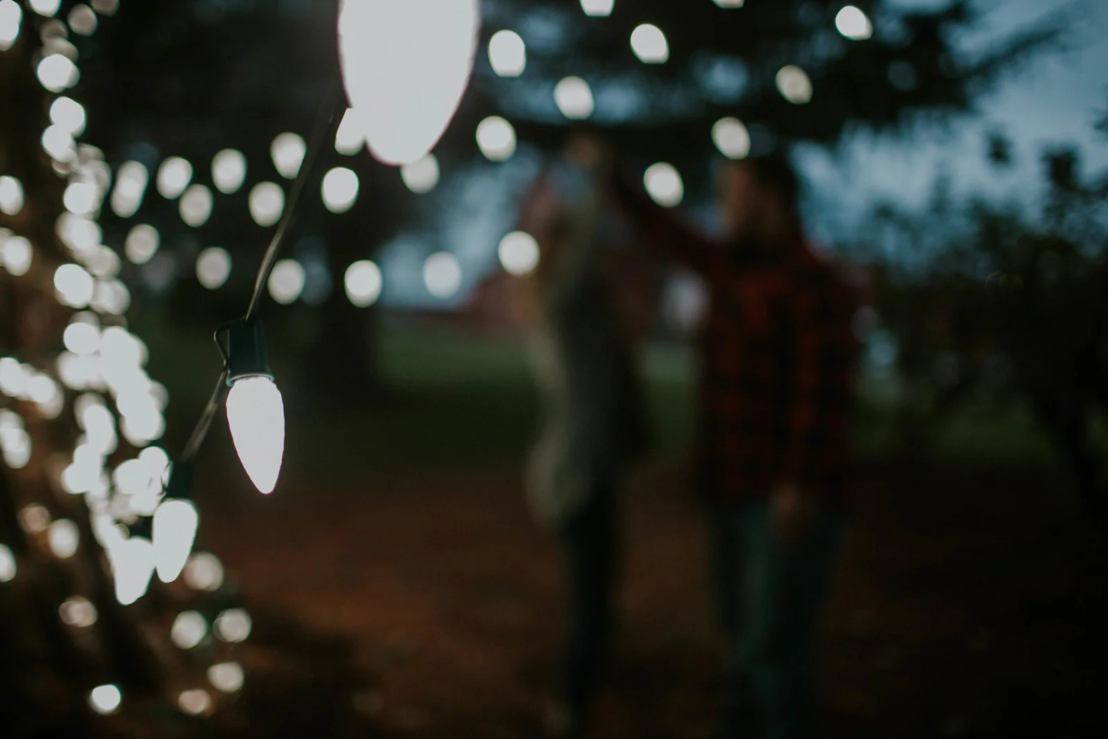 Nolan & Kate Myers Christmas 2016-104.jpg