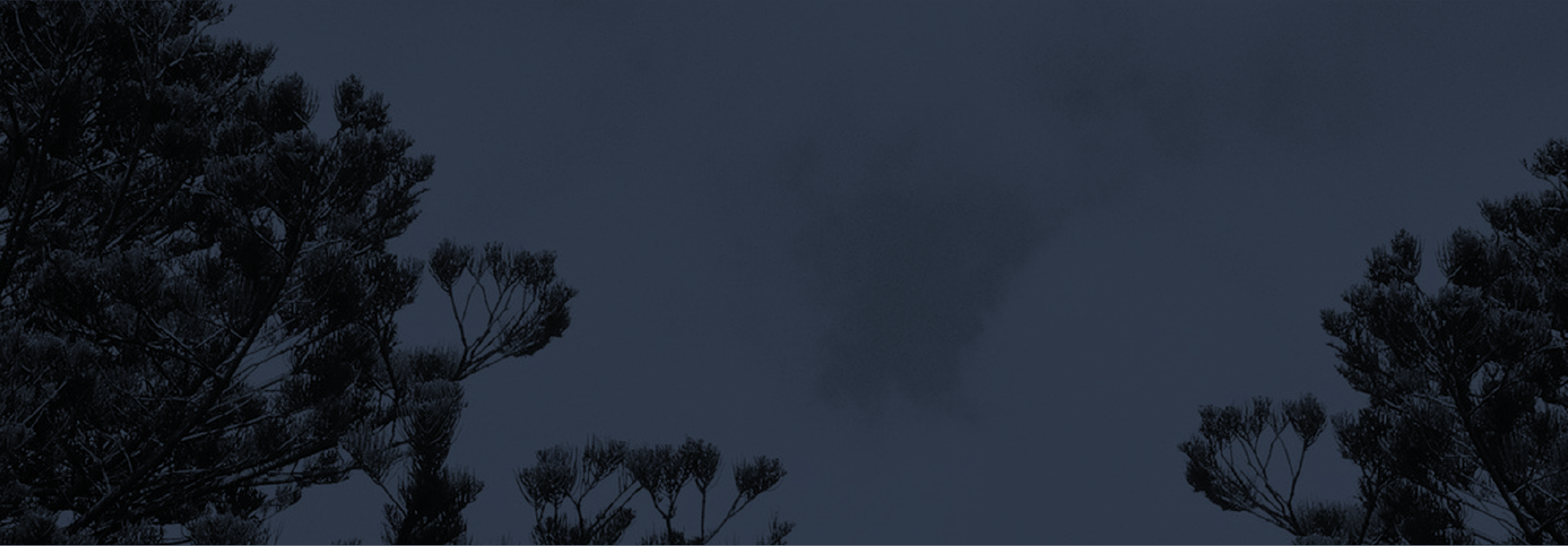 Belfast-Wealth-Management-Port-Fairy-Finanicial-Planning-What-We-Do-Banner.png