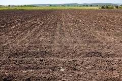 tierra siembra.jpg