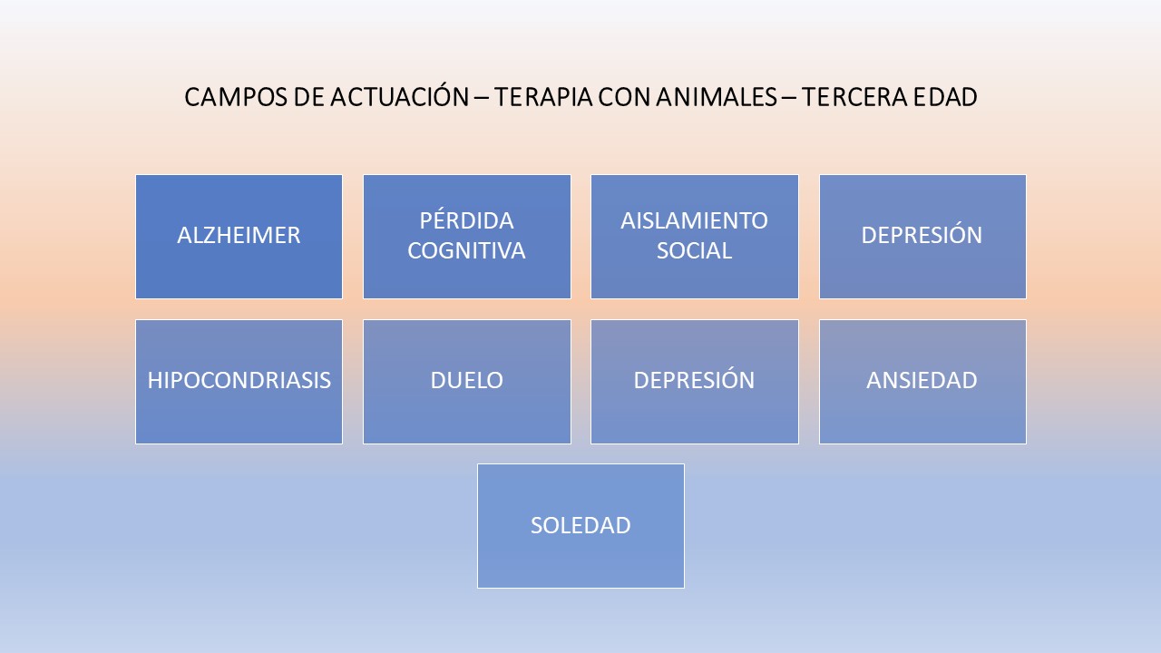 CAMPOS ACTUACIÓN TERAPIA ANCIANOSCON PERROS.jpg