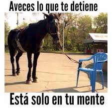 LIMITES.jpg