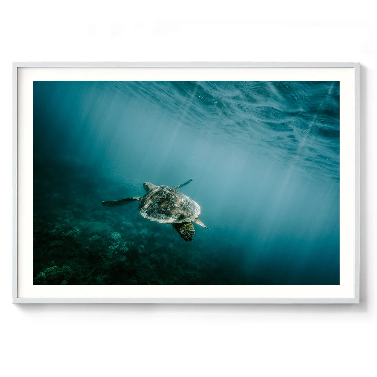 LAB-Photography---Under-the-Sea-Print-Landscape---White-Frame.jpg