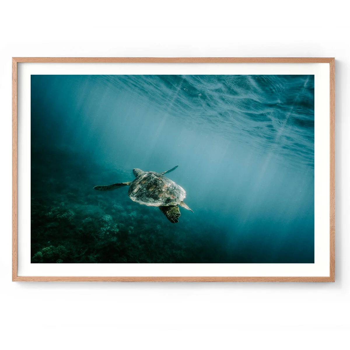 LAB-Photography---Under-the-Sea-Print-Landscape---Natural-Frame.jpg