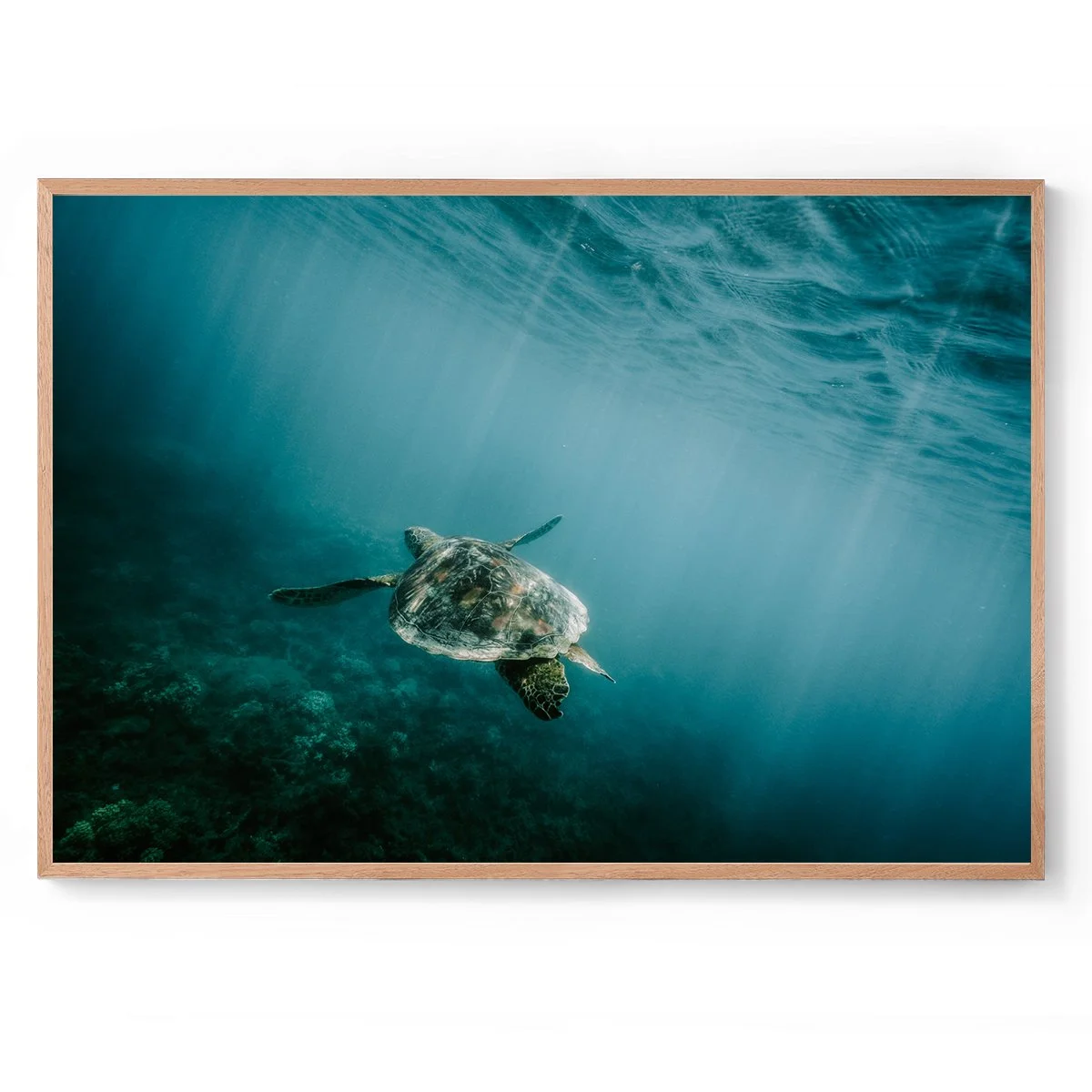 LAB-Photography---Under-the-Sea-Print-Landscape---Natural-frame-no-border.jpg