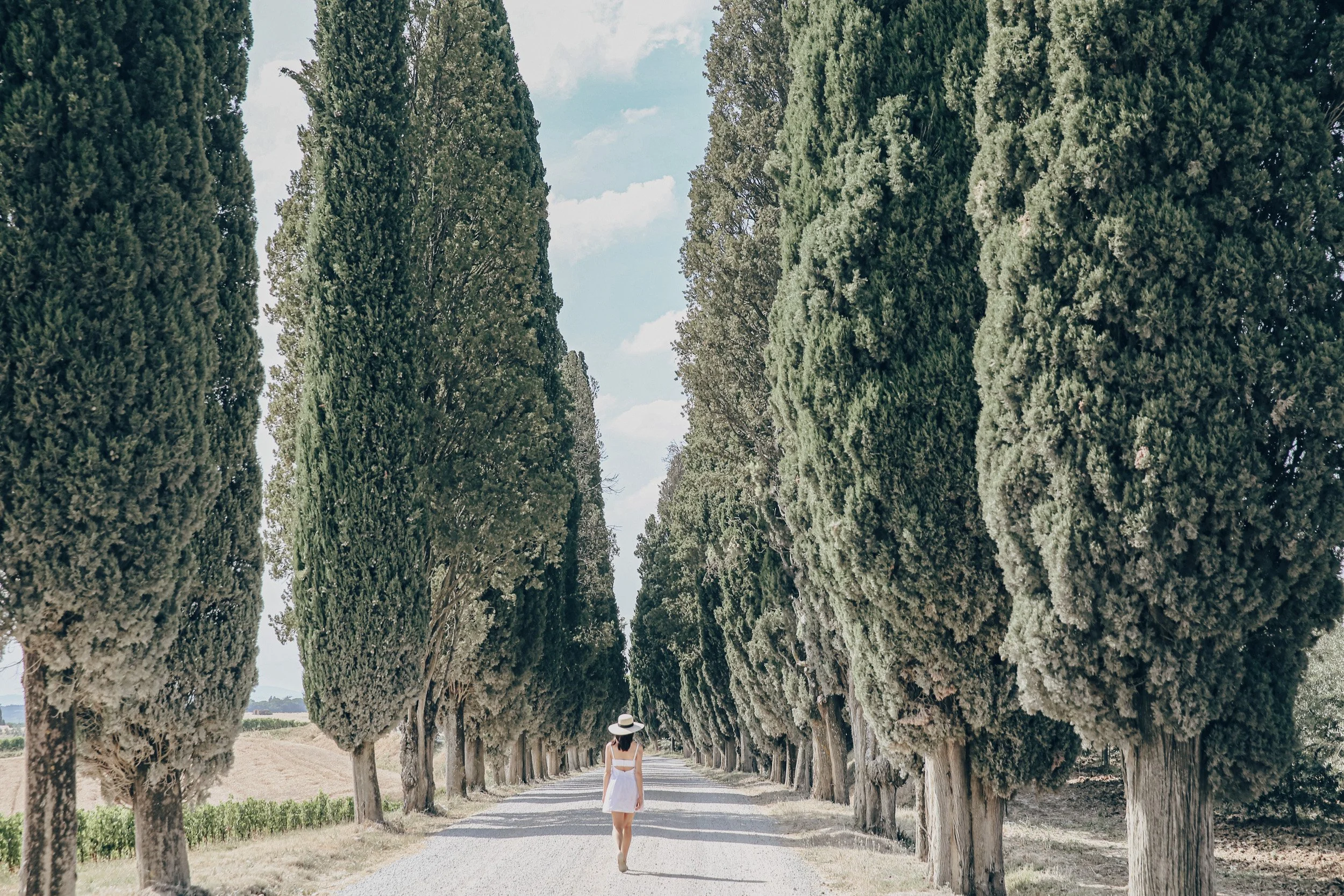 Woman in a white dress and sun hat walking down a tree-lined gravel path through a countryside vineyard