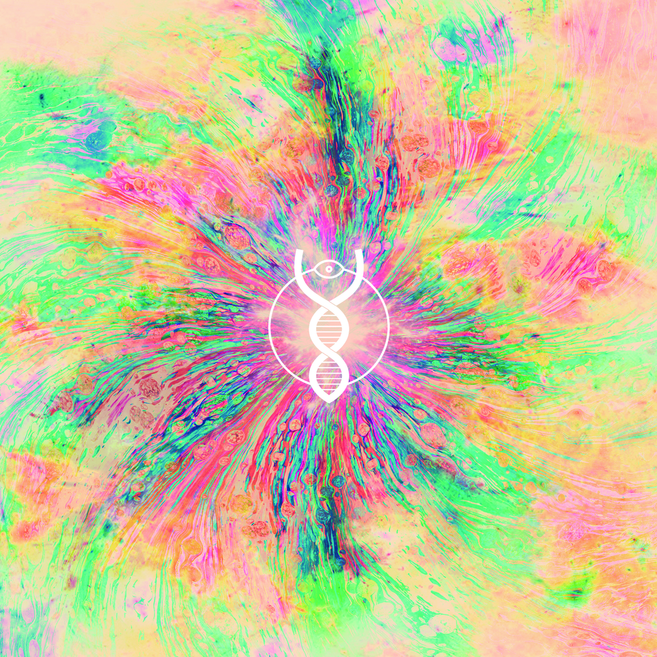 02 LP Back Cover.jpg