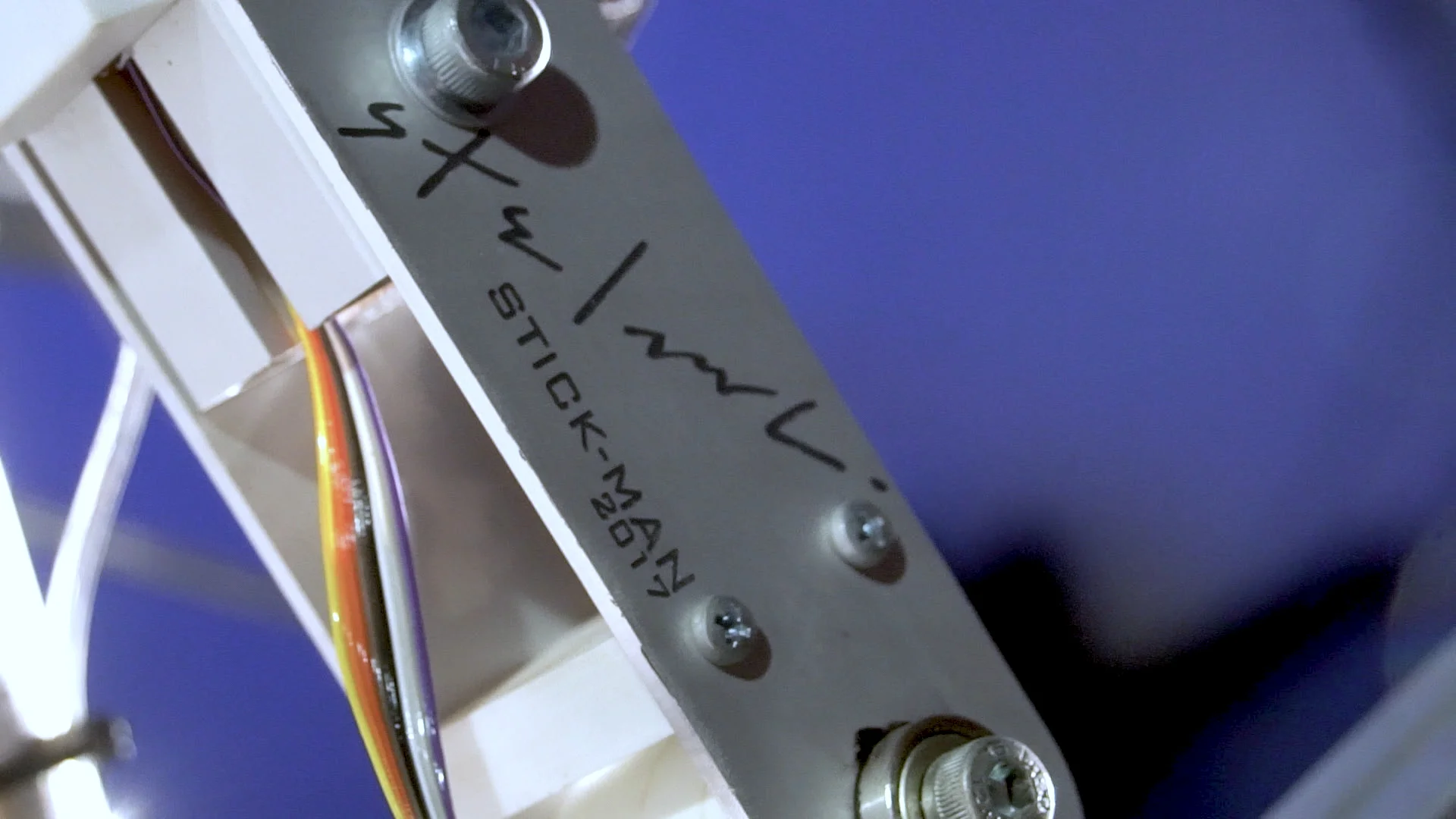 Stelarc Stickman Tetem May 2018.00_03_18_08.Still008.jpg