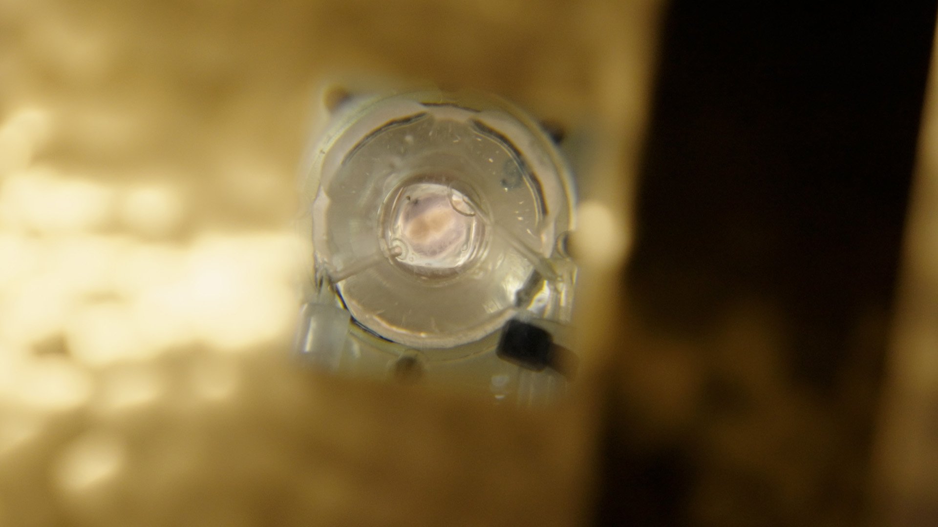 02 HYPOTHESIS EDIT_02.mov.00_01_56_07.Still006.jpg