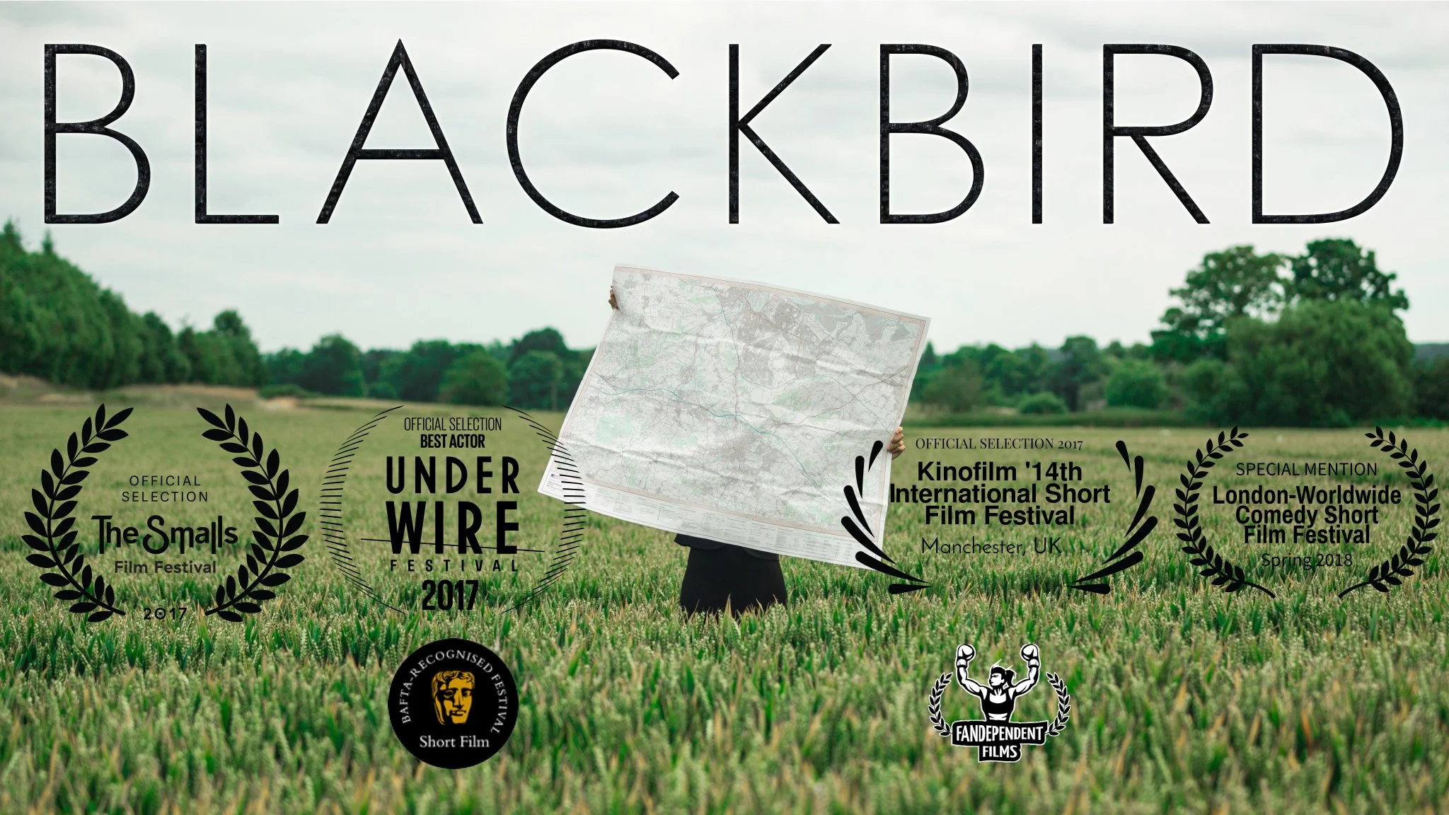 Blackbird.jpeg