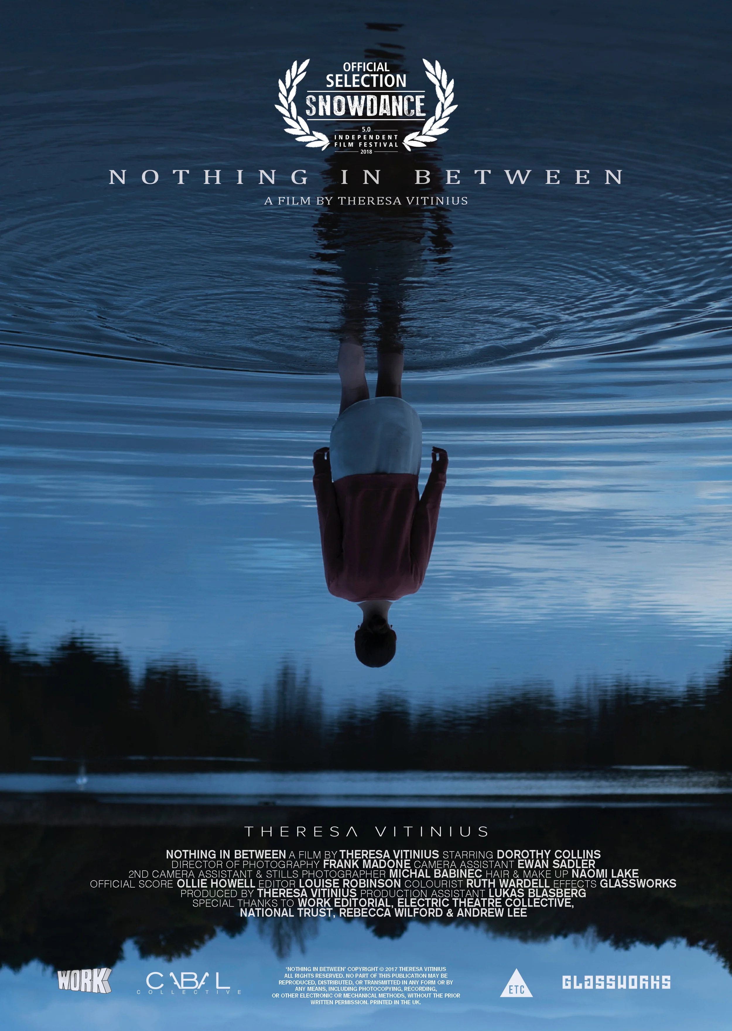 nib-poster2.2.jpg