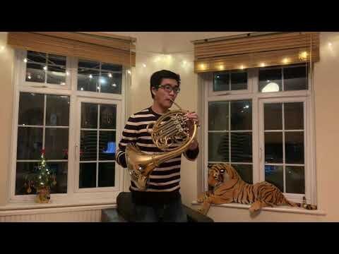 Robert Schumann: Drei Romanzen Op. 94, III. Nicht schnell - Isaac Shieh