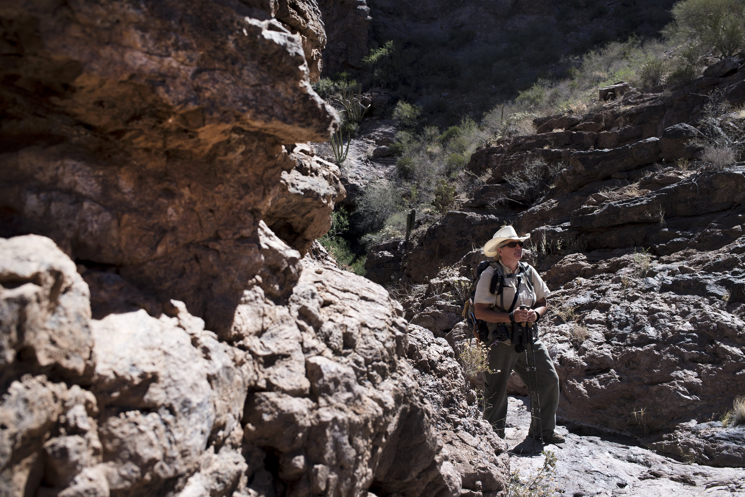 Independent wildlife biologist Rosemary Schiano surveys an area of southern Arizona’s Organ Pipe Cactus National Monument, along the US-Mexico border. June 2017.
