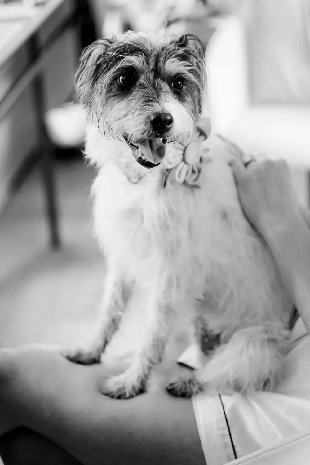 Rackleys Wedding Photography Buckinghamshire011.webp