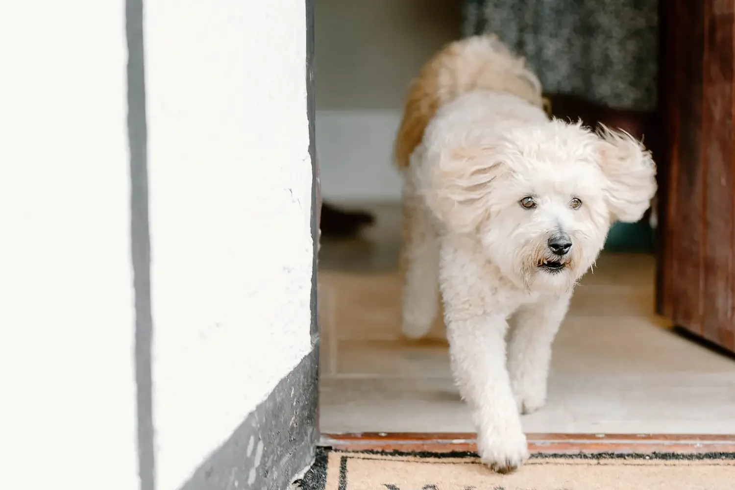 Oxfordshire- the cotswolds and buckinghamshire wedding photographer 181.webp