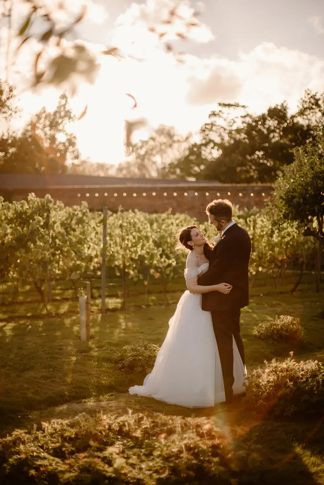 A bride and groom embrace in a vineyard during sunset, with the bride in a white gown and the groom in a black suit.