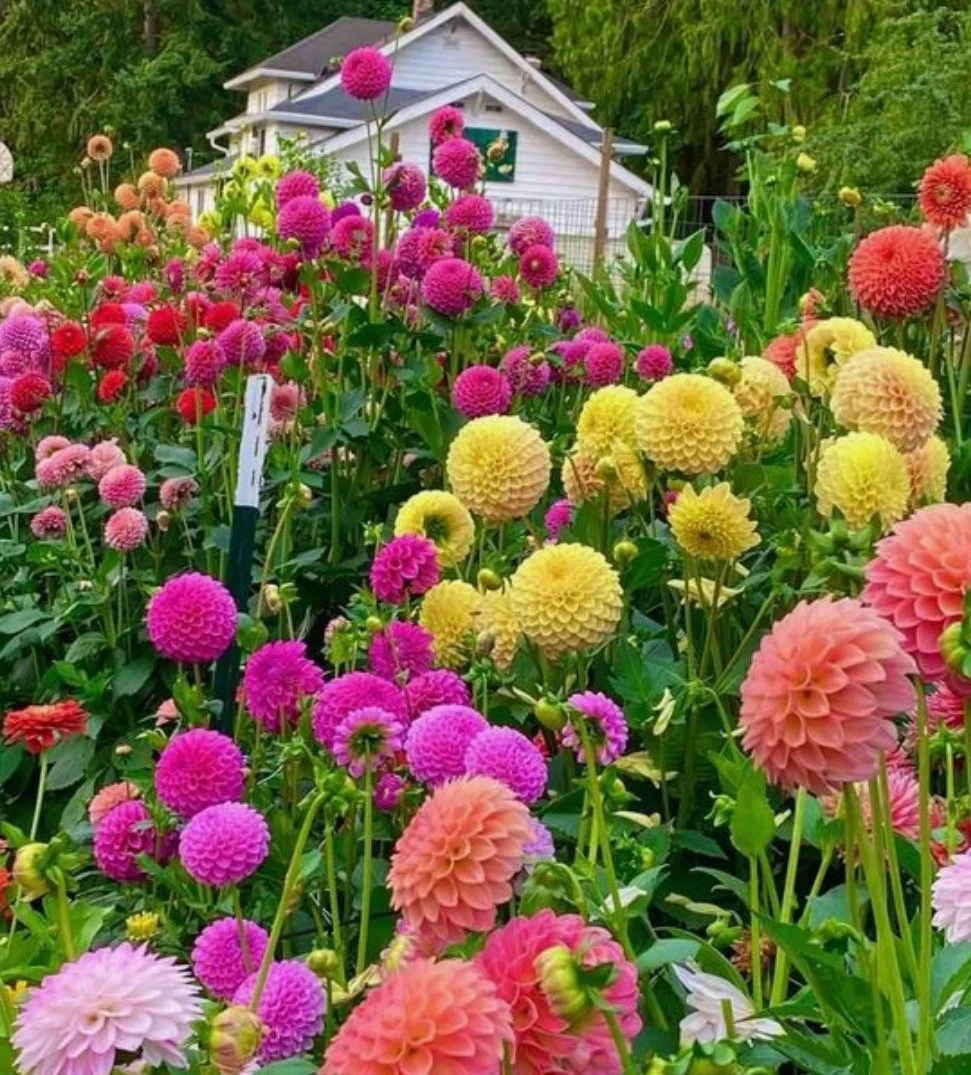 “Poipoia te kākano kia puawai” - Nurture the seed and it will grow