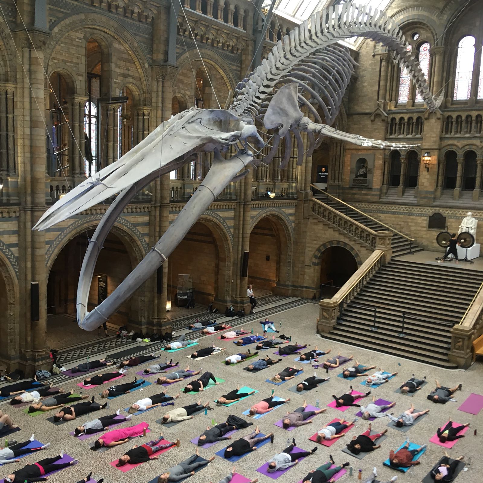 Yoga + Gongs at the National History Museum     (Copy)
