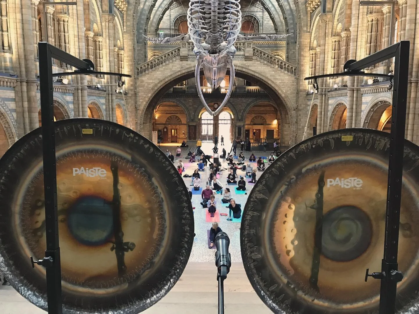 SUNDAY AWESOMNESS
⠀
We are back this Sunday 8am @natural_history_museum with  @eastofeden17 for the wonderful Vinyasa Yoga led by @vanessavinyasa  followed by my gongs in this incredible loction.
⠀
In the evening 8:30 pm I will offer also a full hour