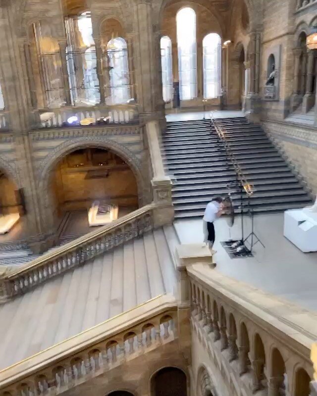 The Shell Conch
@natural_history_museum 

The shell conch is used to open and call attention to an important event or celebration.

Its profound and deep sounds connects with the nervous system the  spine and the chest cavity. 
Its an istanteneus rem