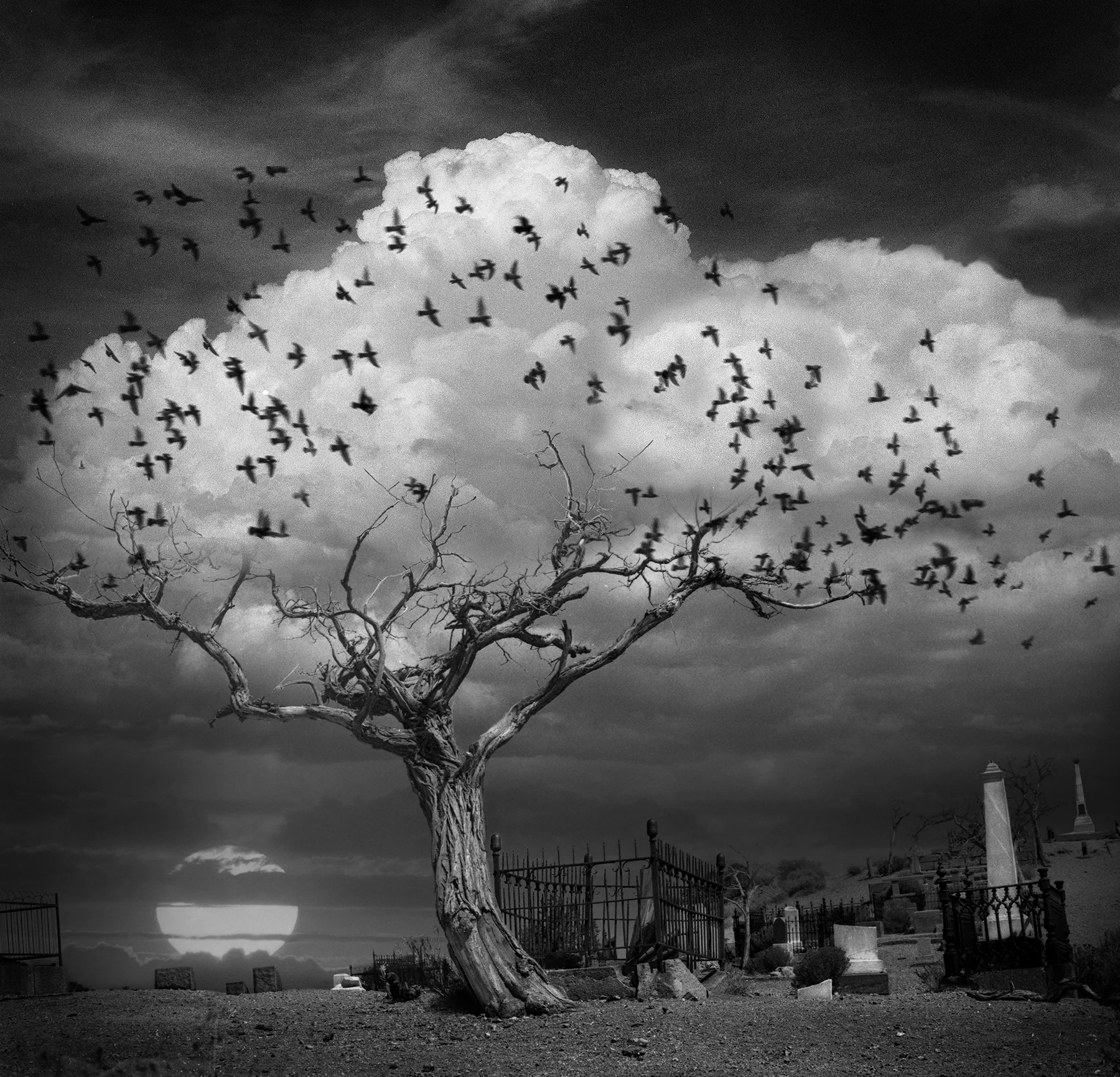 portfolio — Scott Mutter Fine Art