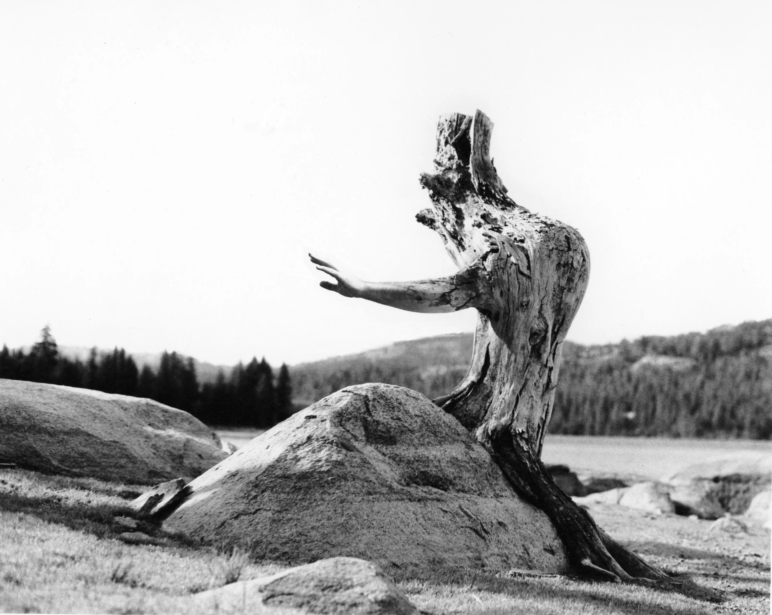 portfolio — Scott Mutter Fine Art