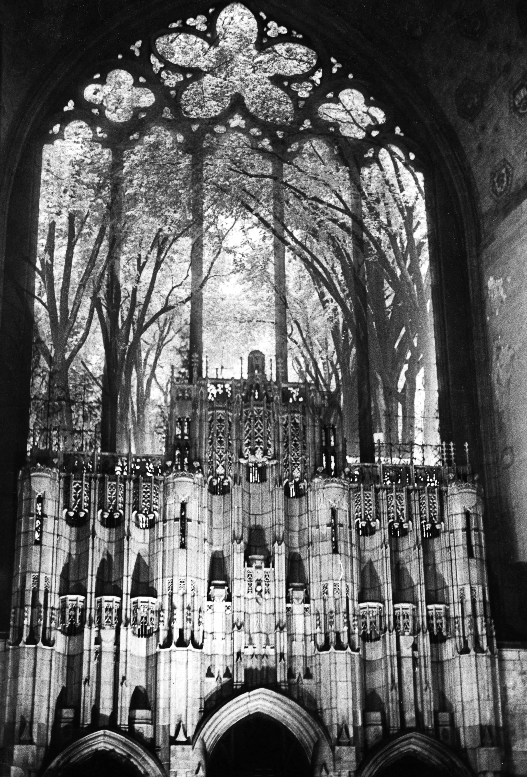 Tree-Arch-and-Church.jpg
