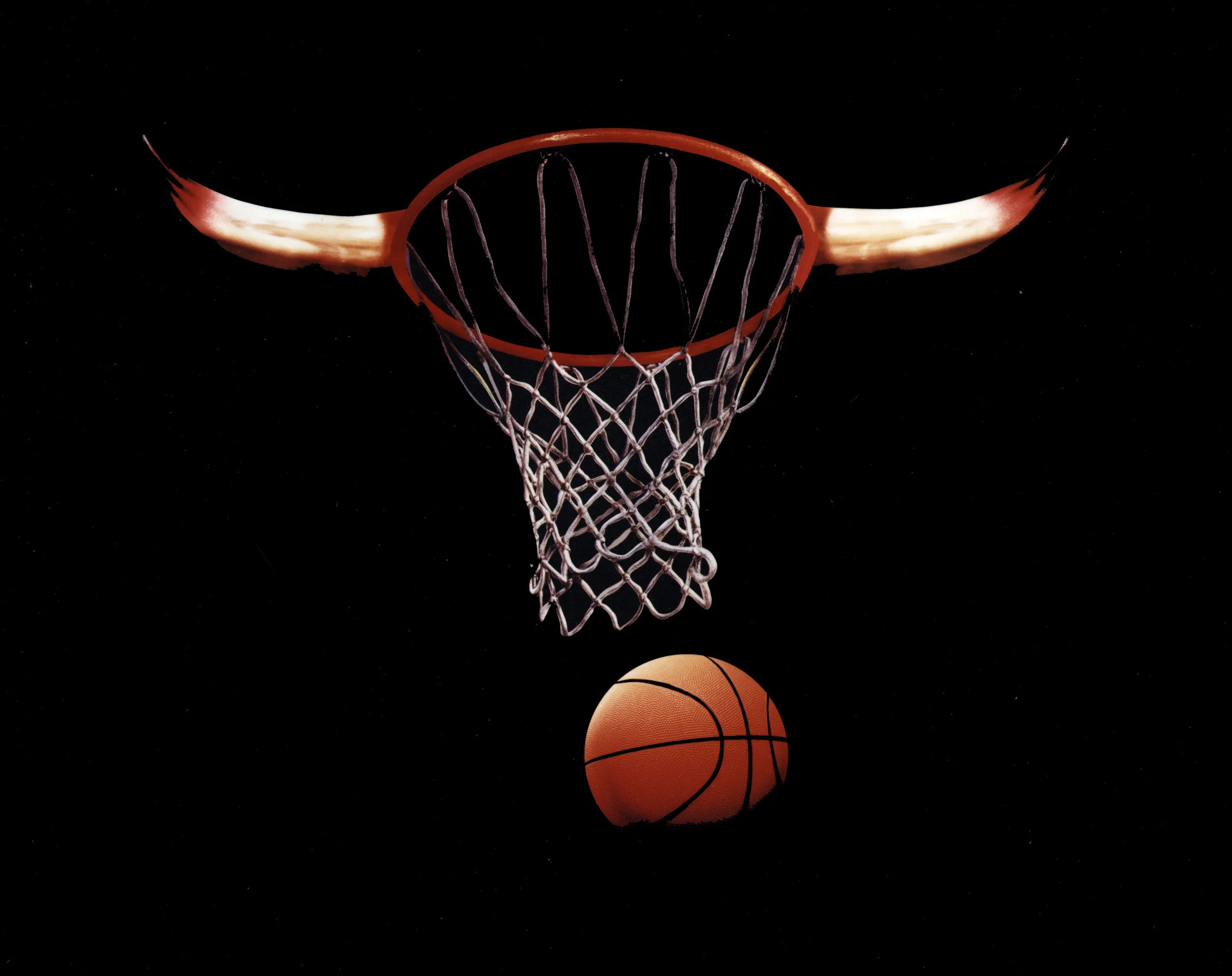 Basketball-net,-ball-and-horns-1993.jpg