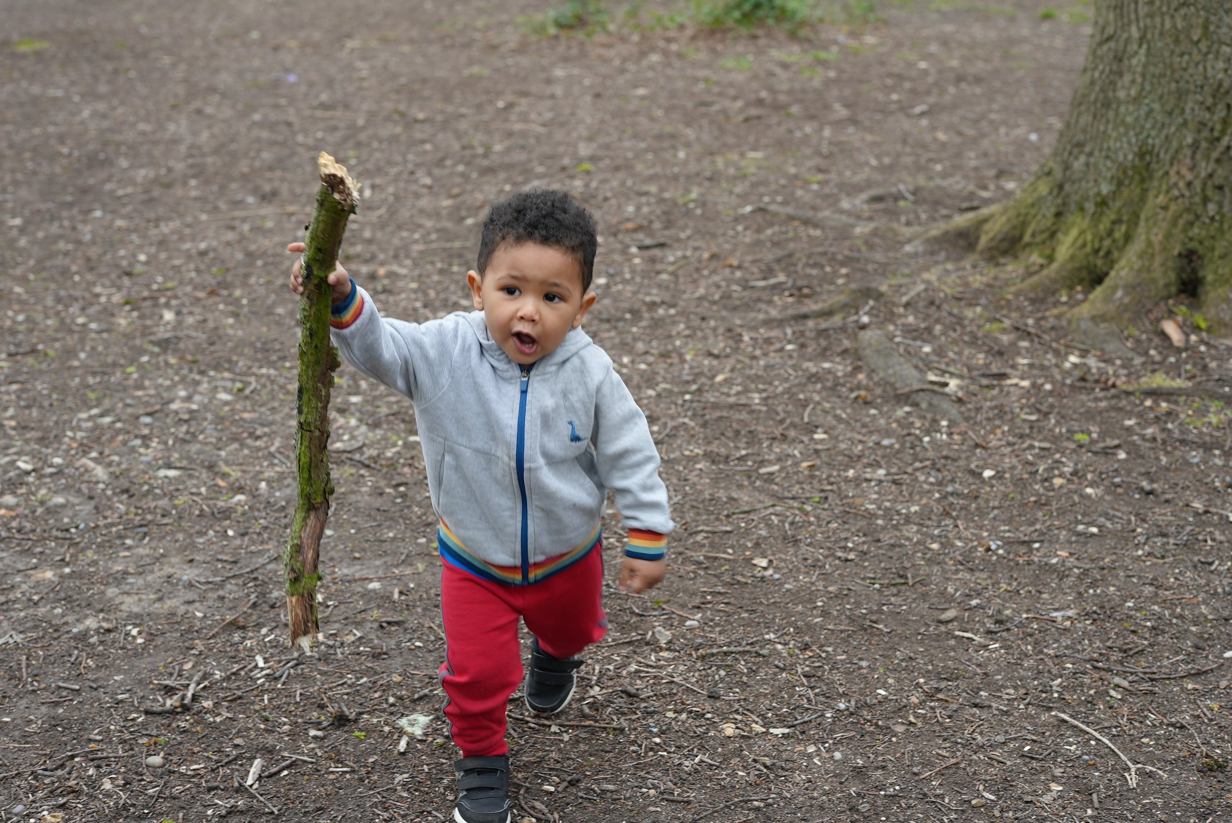  little boy is walking in the woods carrying a very large stick 