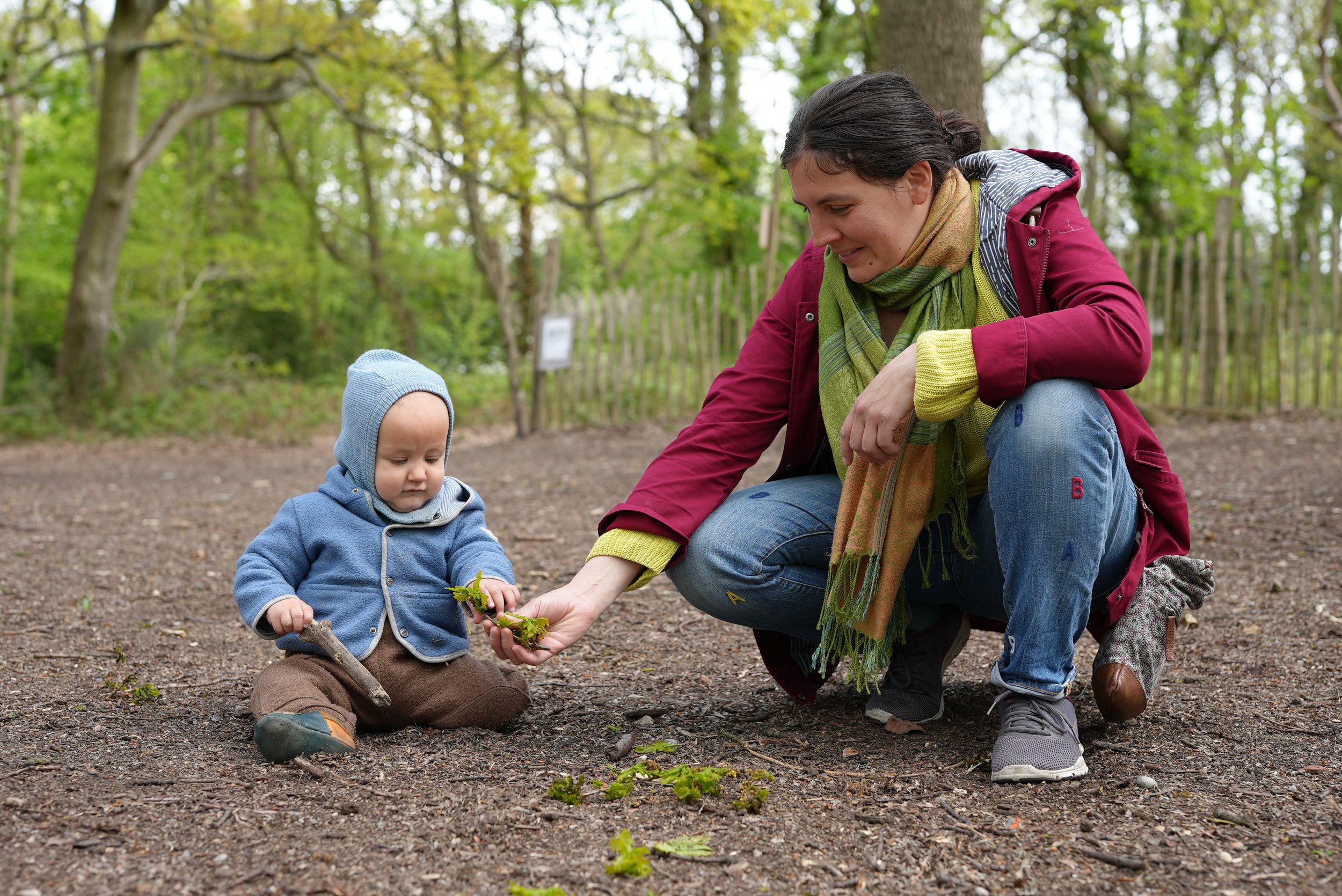  Mum is handing her little boy a leaf. They are in the woods  