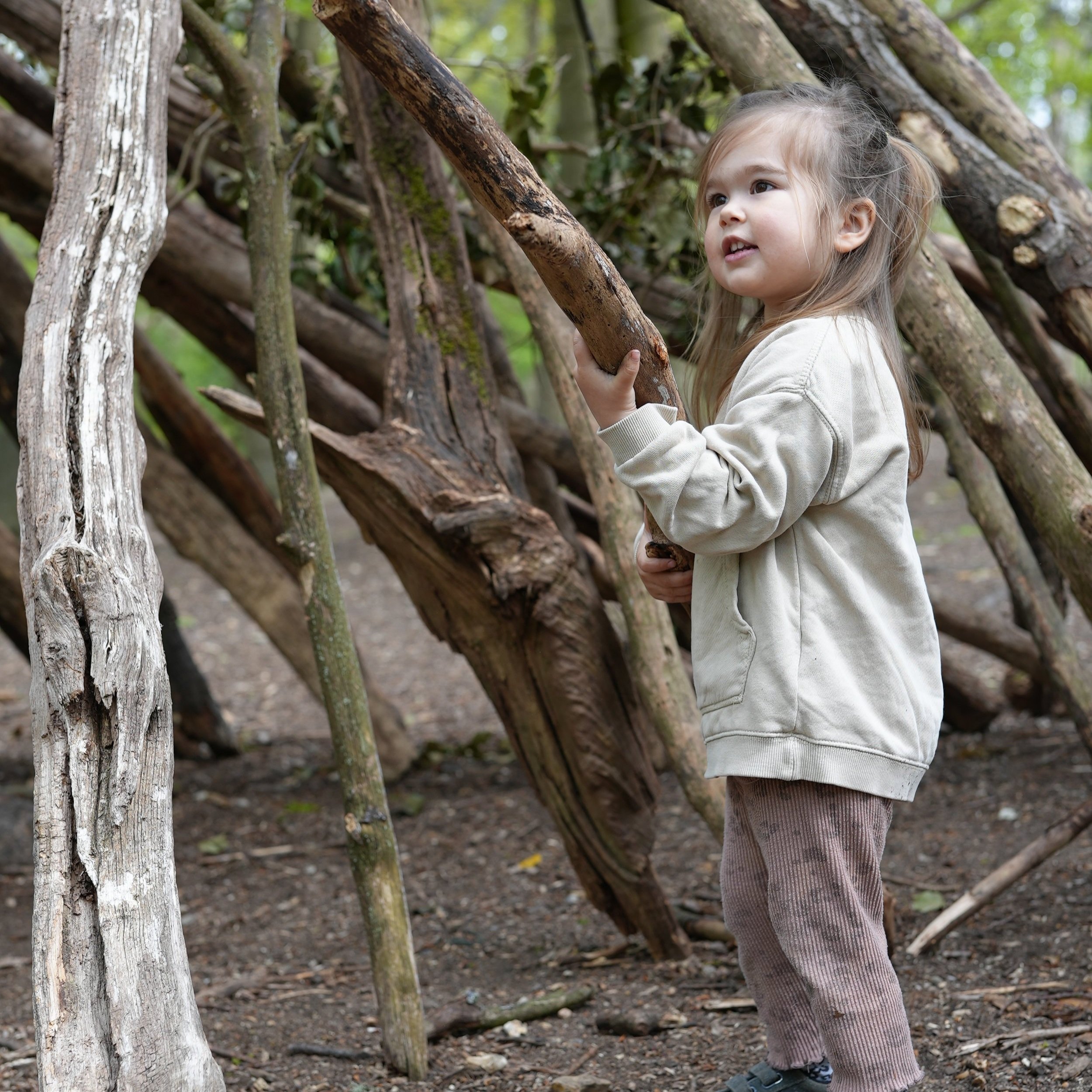  little girl is holding a huge stick that is taller than her. She looks like shes building a secret fort 