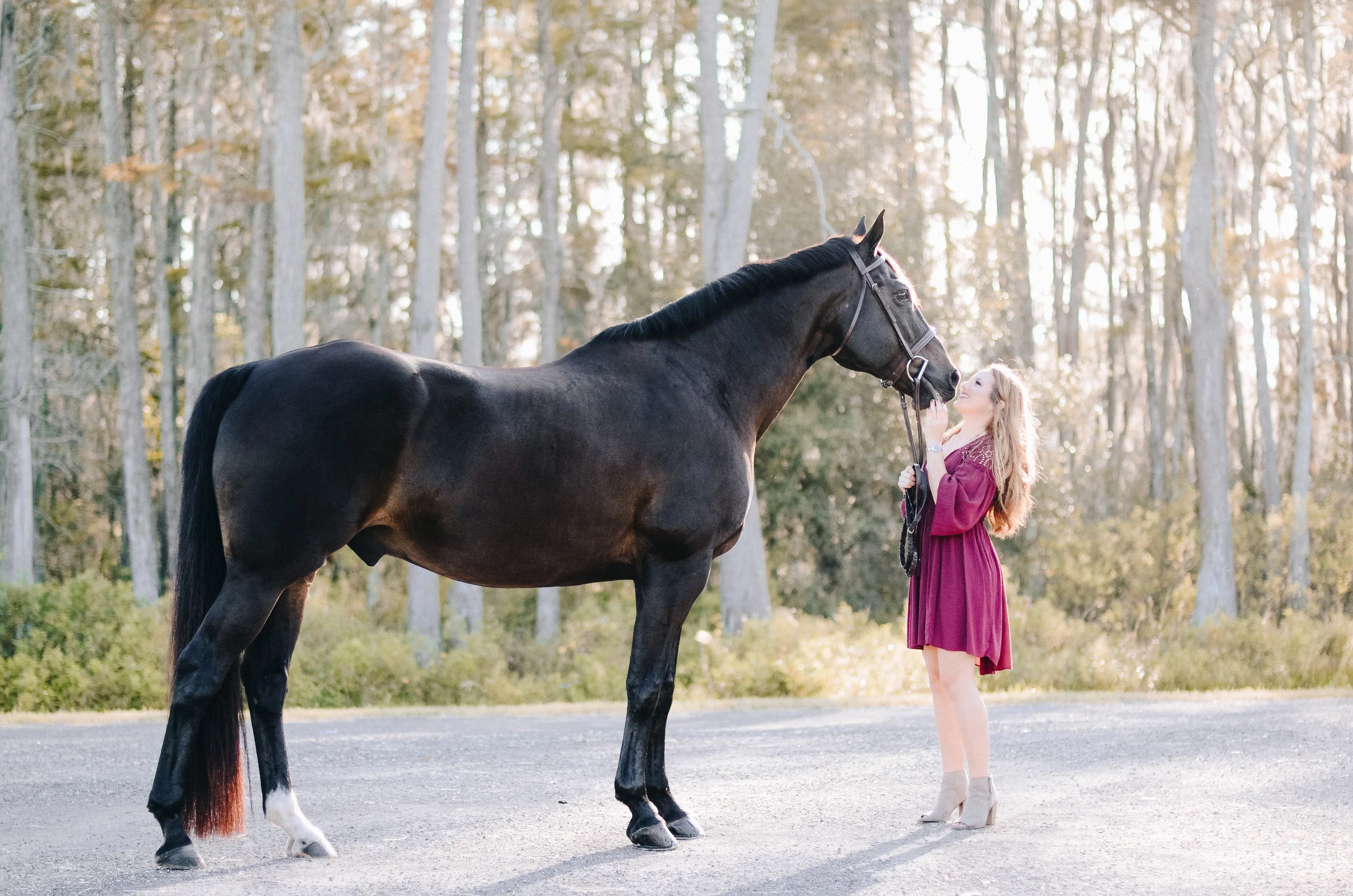 Gabby &amp; Ricoma | Tampa, Florida Horse &amp; Rider Portrait Session | Nicole Schultz Photography