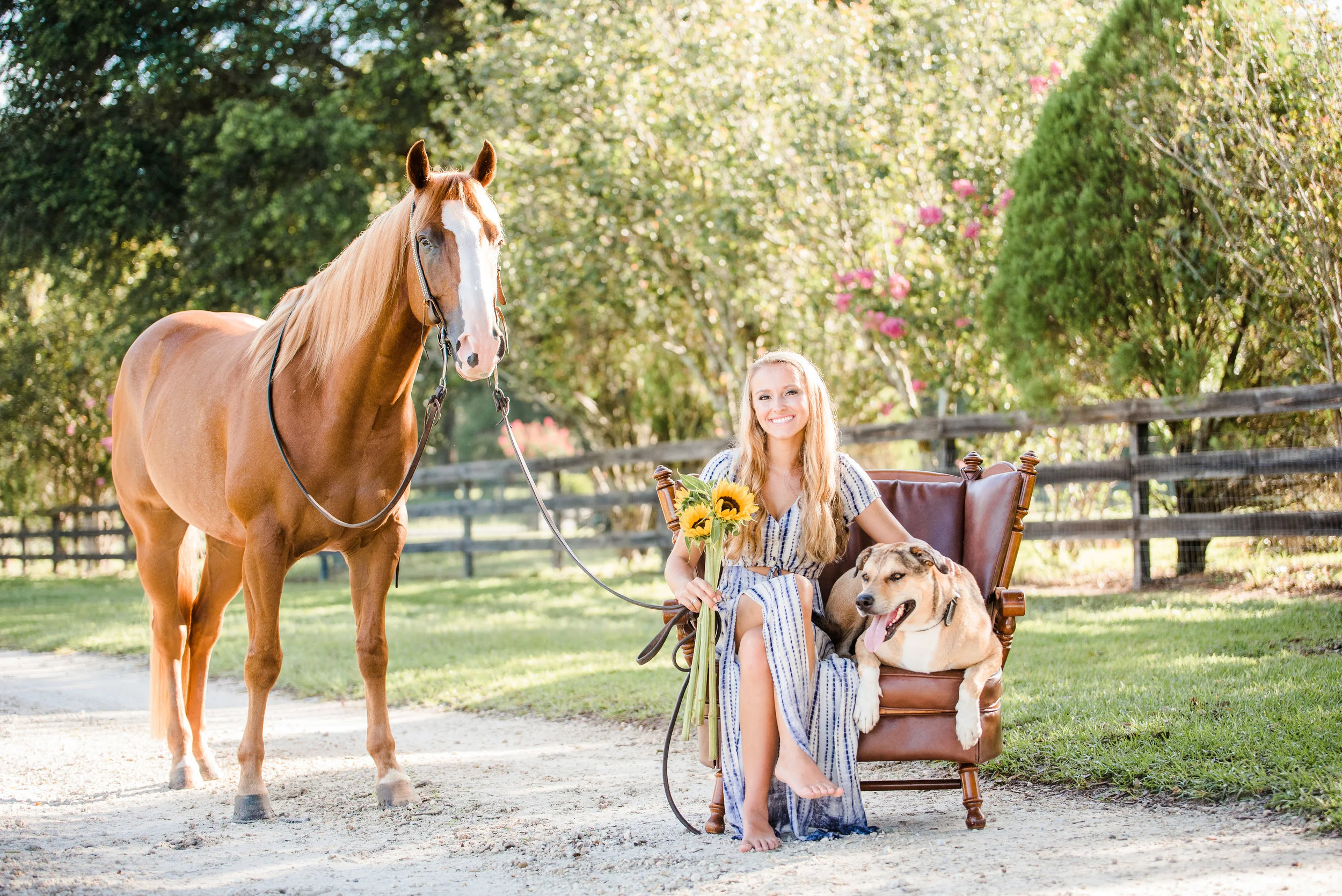 Skylar &amp; Jimmy | Ocala, Florida Horse &amp; Rider | Nicole Schultz Photography