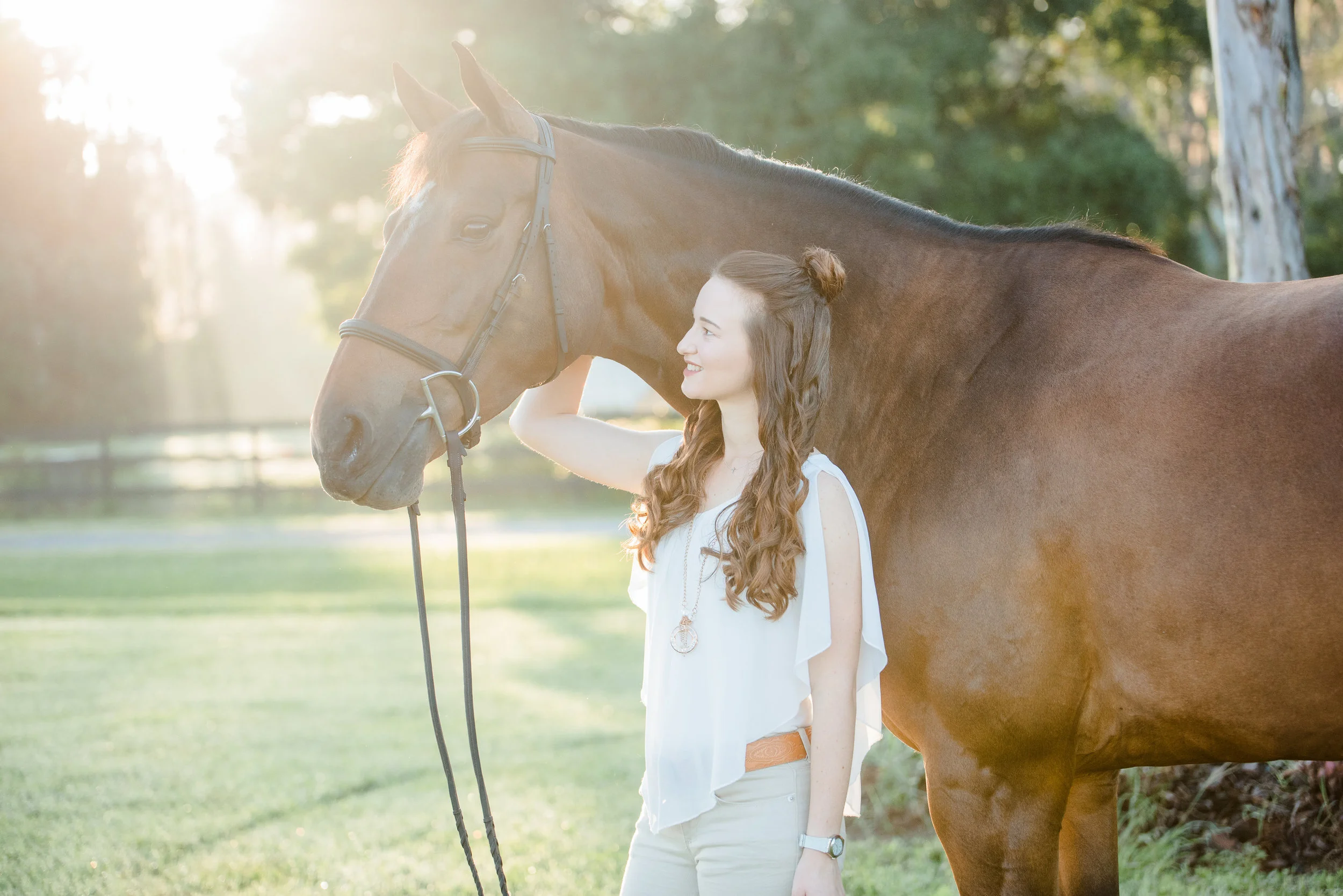 Shannon Jones | Tampa, Florida Horse &amp; Rider | Nicole Schultz Photography