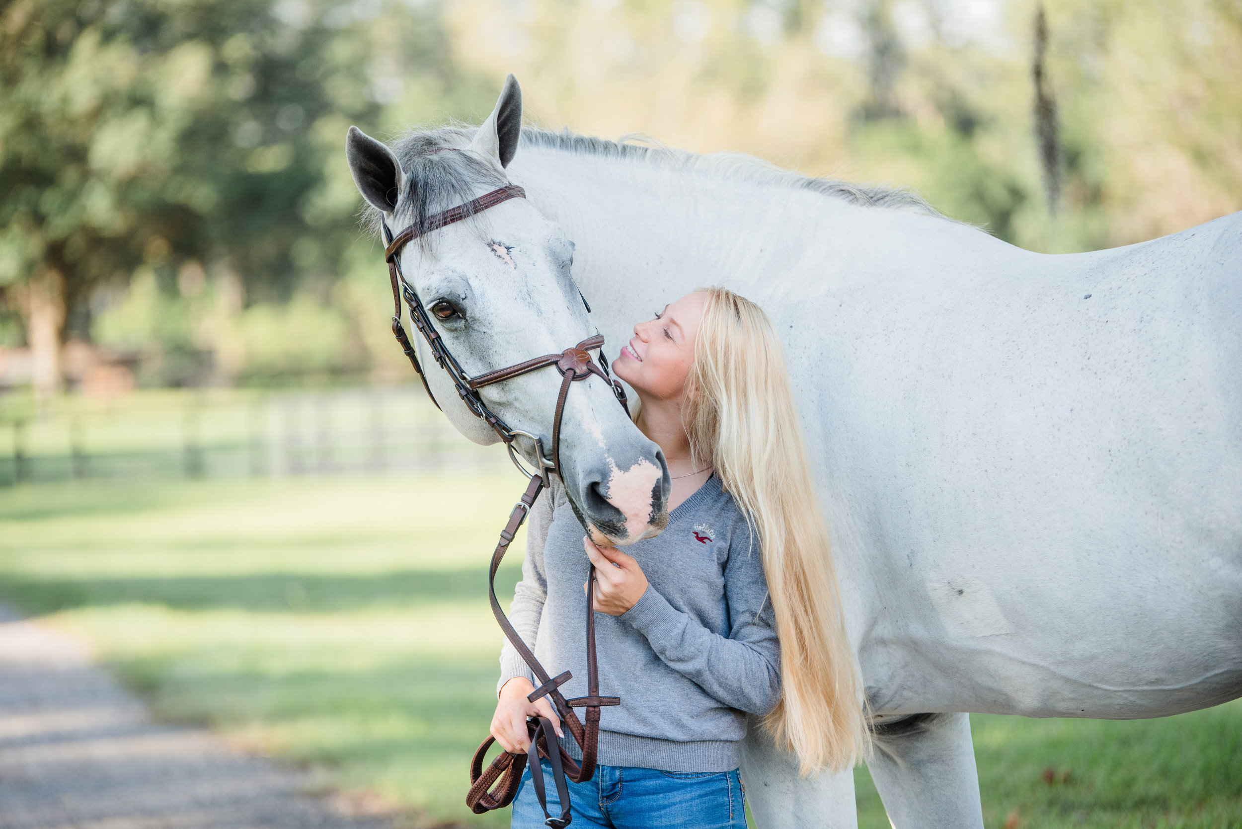 Allison Postier | Tampa, Florida Horse &amp; Rider | Nicole Schultz Photography
