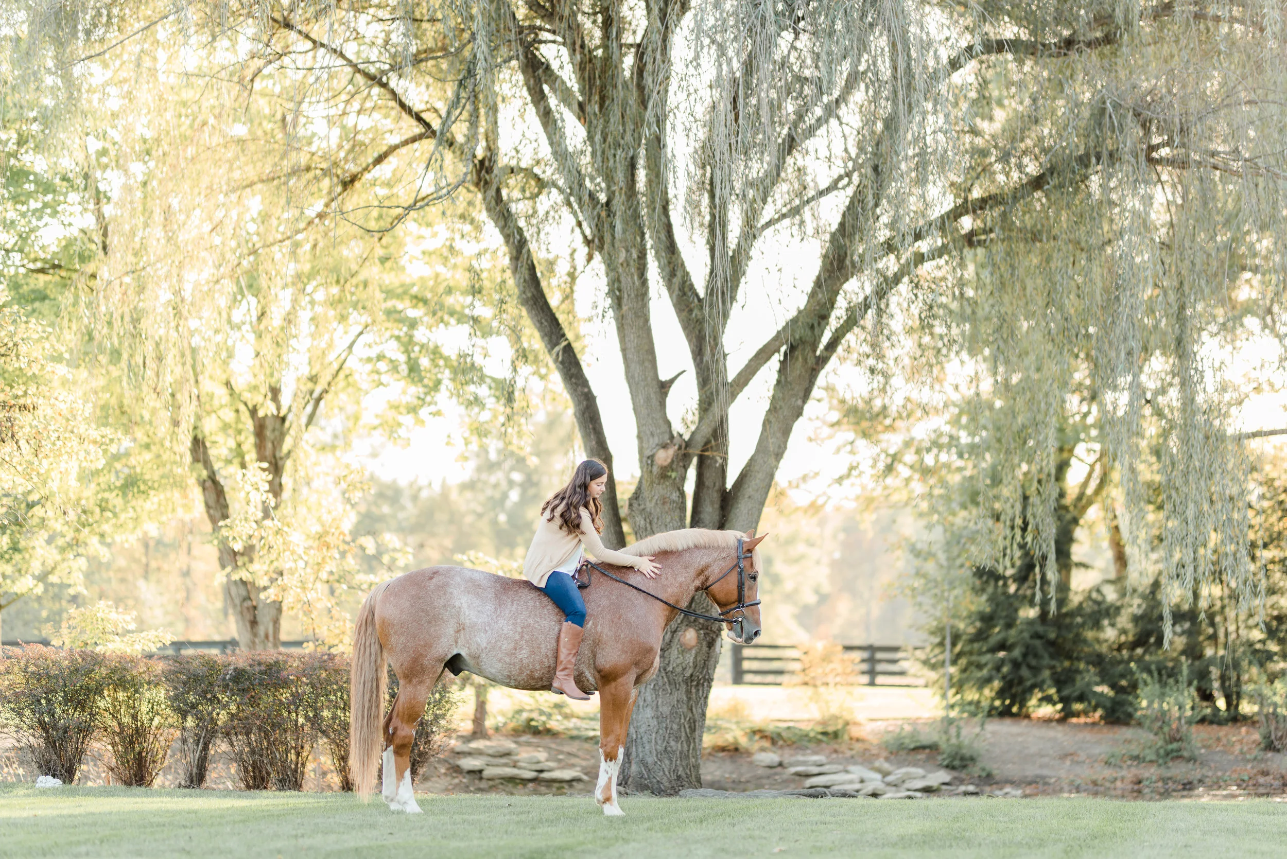 Kate Kosnoff | New Albany, Ohio Horse &amp; Rider | Nicole Schultz Photography