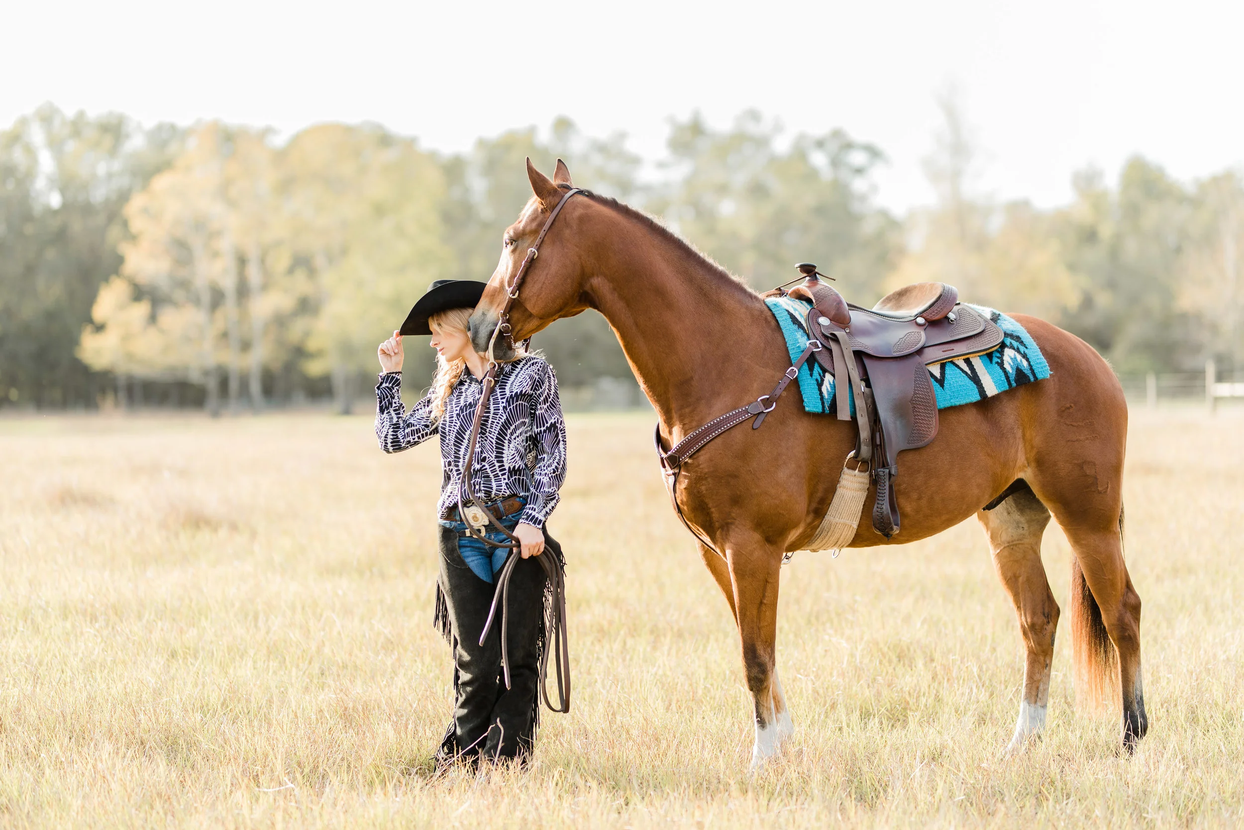 Beth Cannon | Gainesville, Florida Horse &amp; Rider | Nicole Schultz Photography