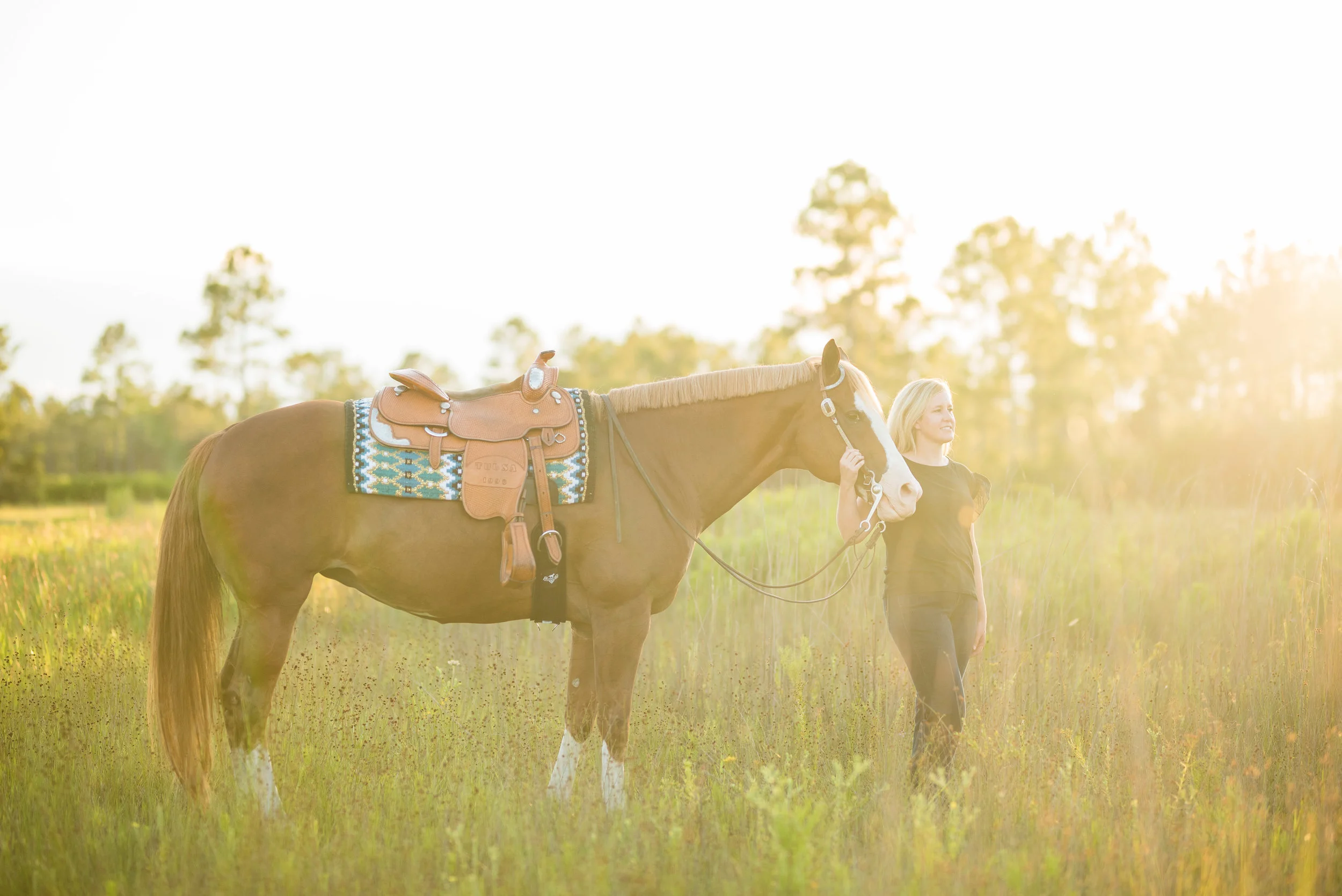 Ashley Zimlich | Jacksonville, Florida Horse &amp; Rider | Nicole Schultz Photography