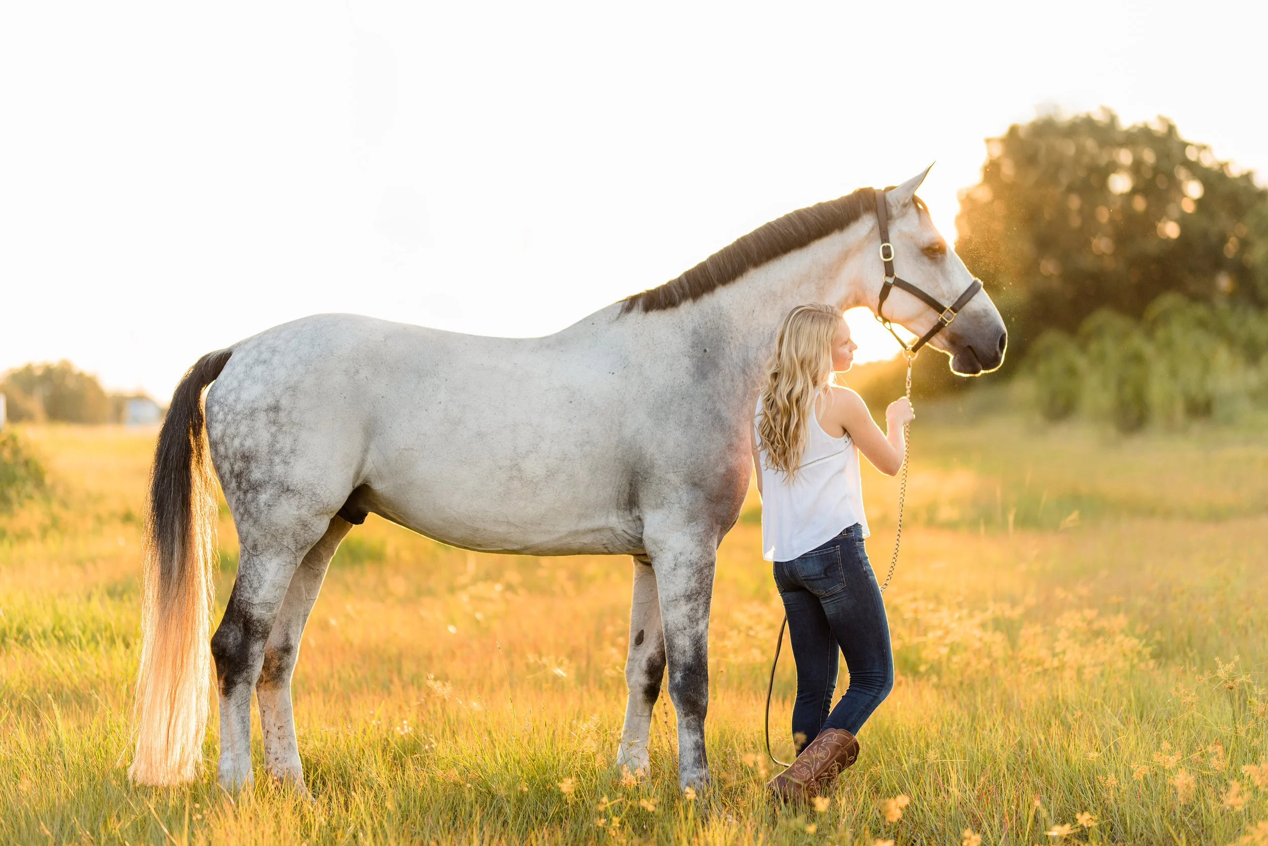 Arabella Schoenherr | Tampa, Florida Horse &amp; Rider | Nicole Schultz Photography