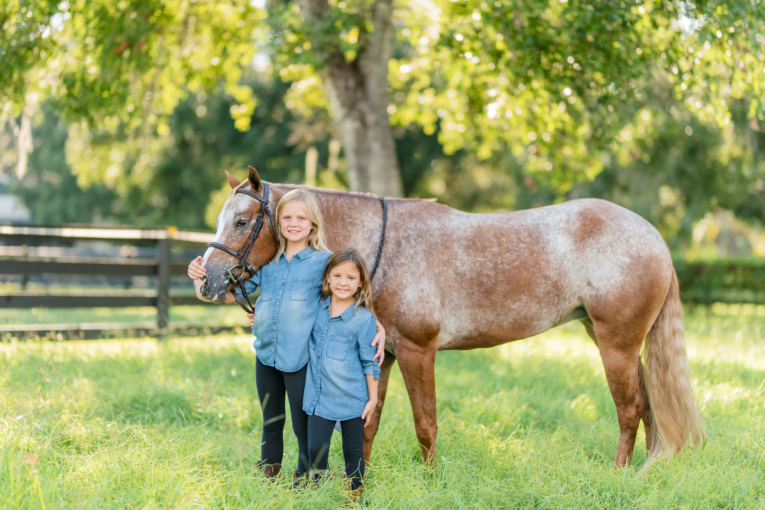 Ella &amp; Ava | Tampa, Florida Horse &amp; Rider | Nicole Schultz Photography