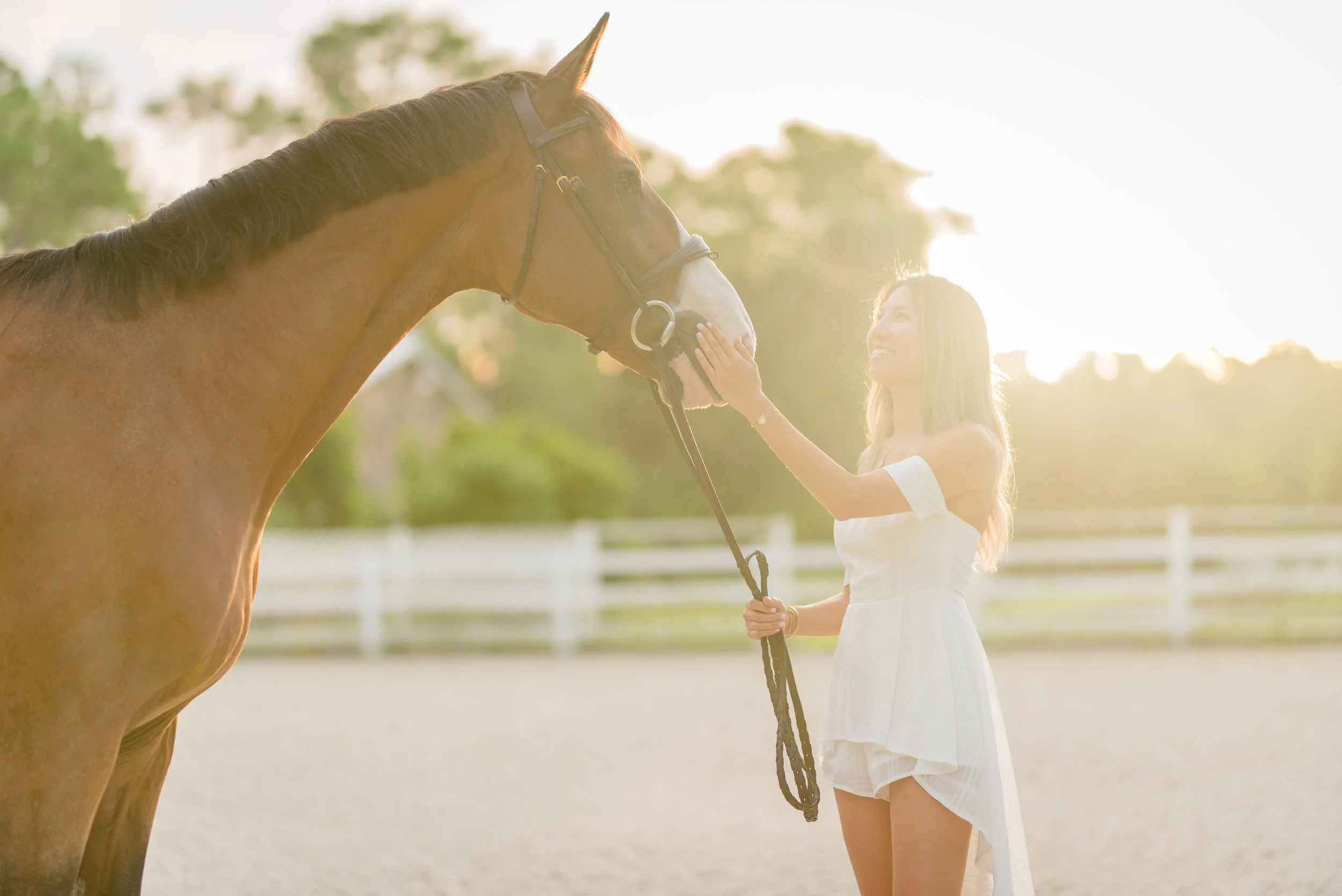Karen Hao | Wellington, Florida Horse &amp; Rider | Nicole Schultz Photography